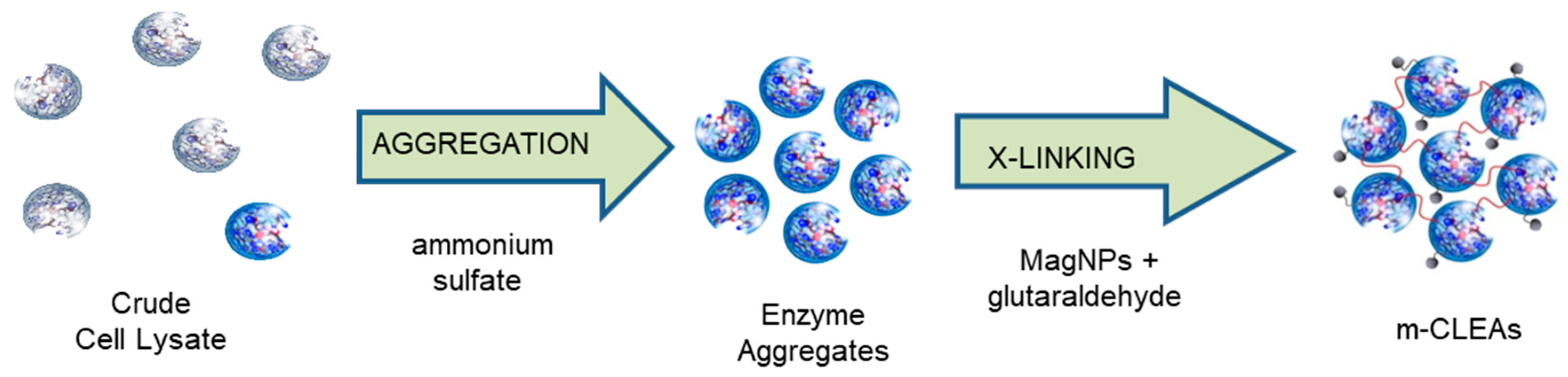 Catalysts 09 00261 g012
