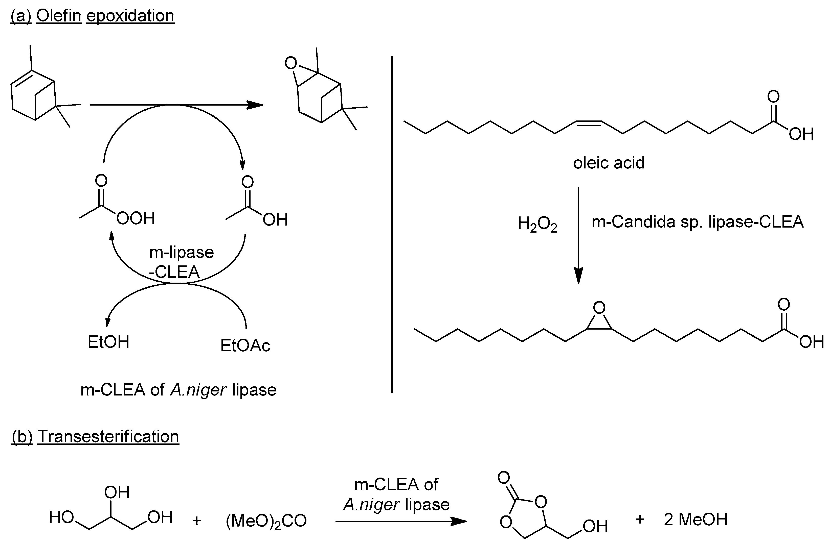 Catalysts 09 00261 g013