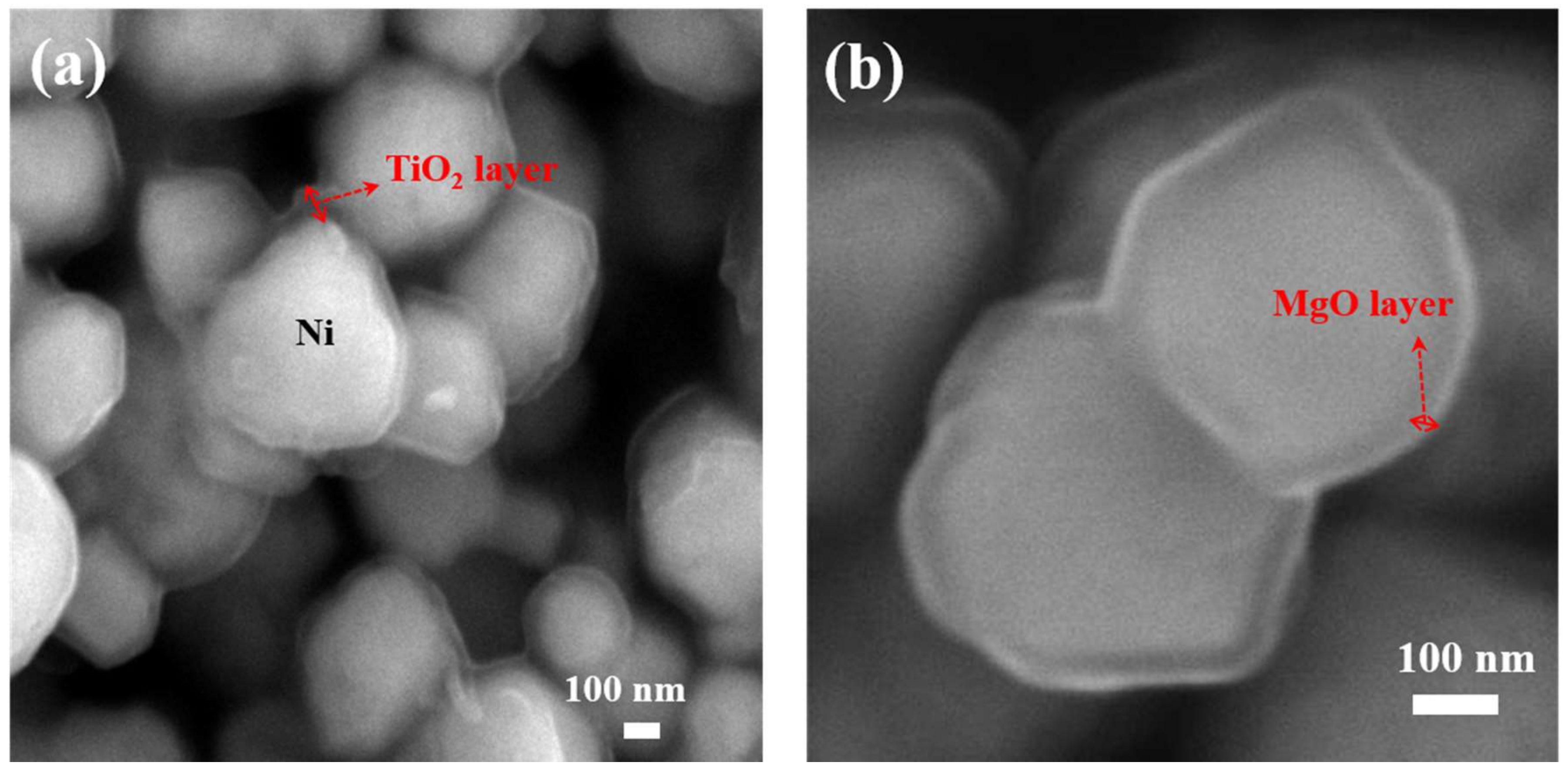 Catalysts 09 00266 g002