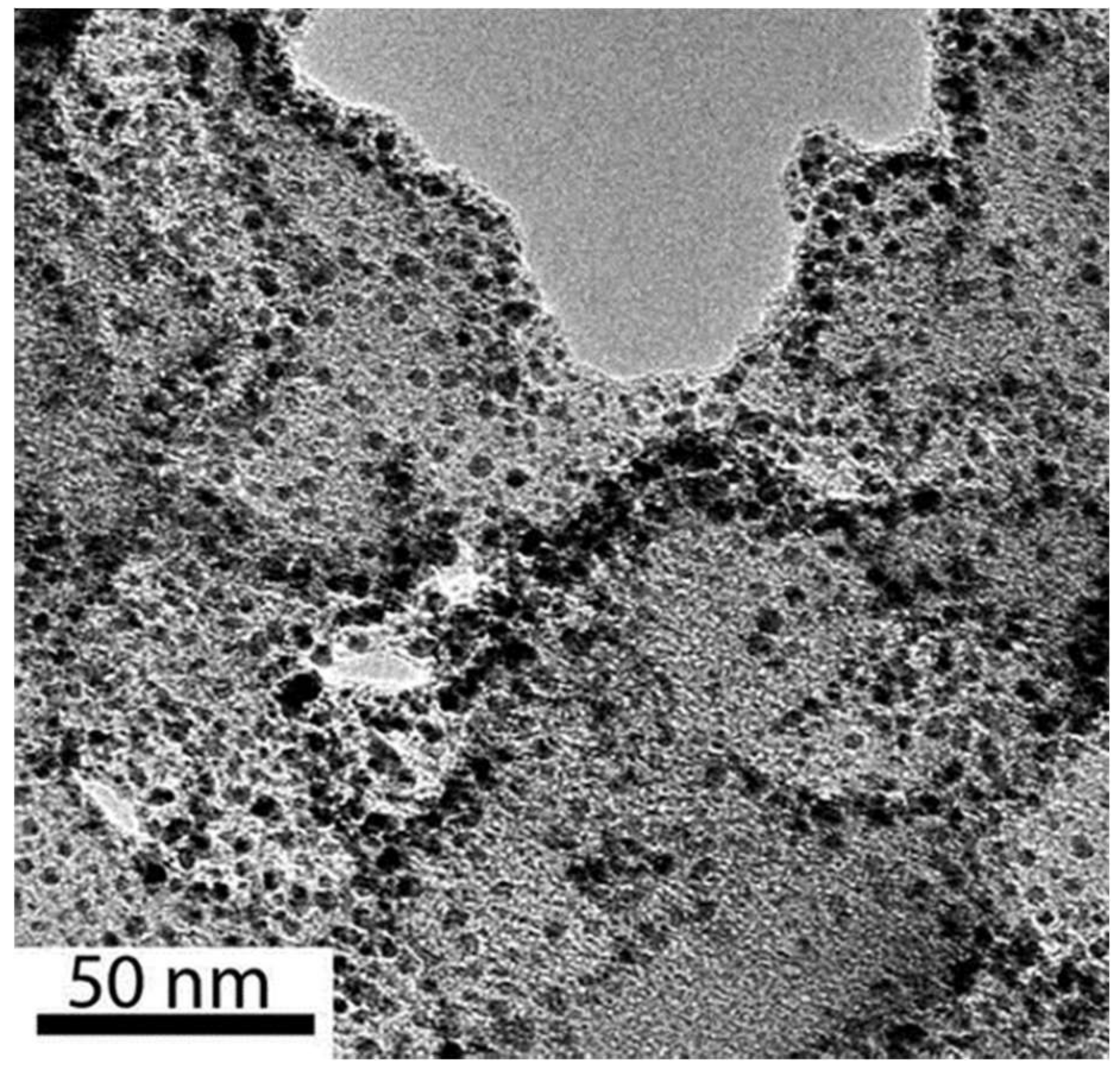 Catalysts 09 00266 g006