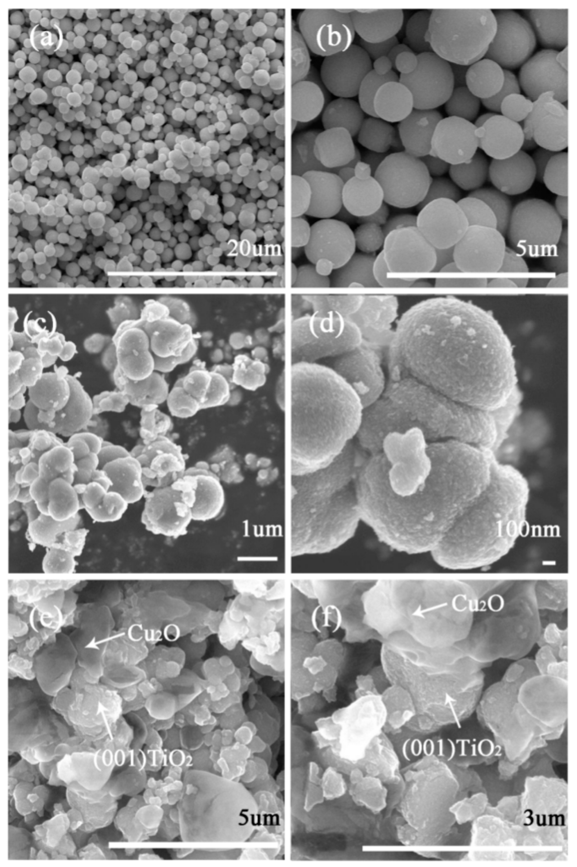 Catalysts 09 00267 g005