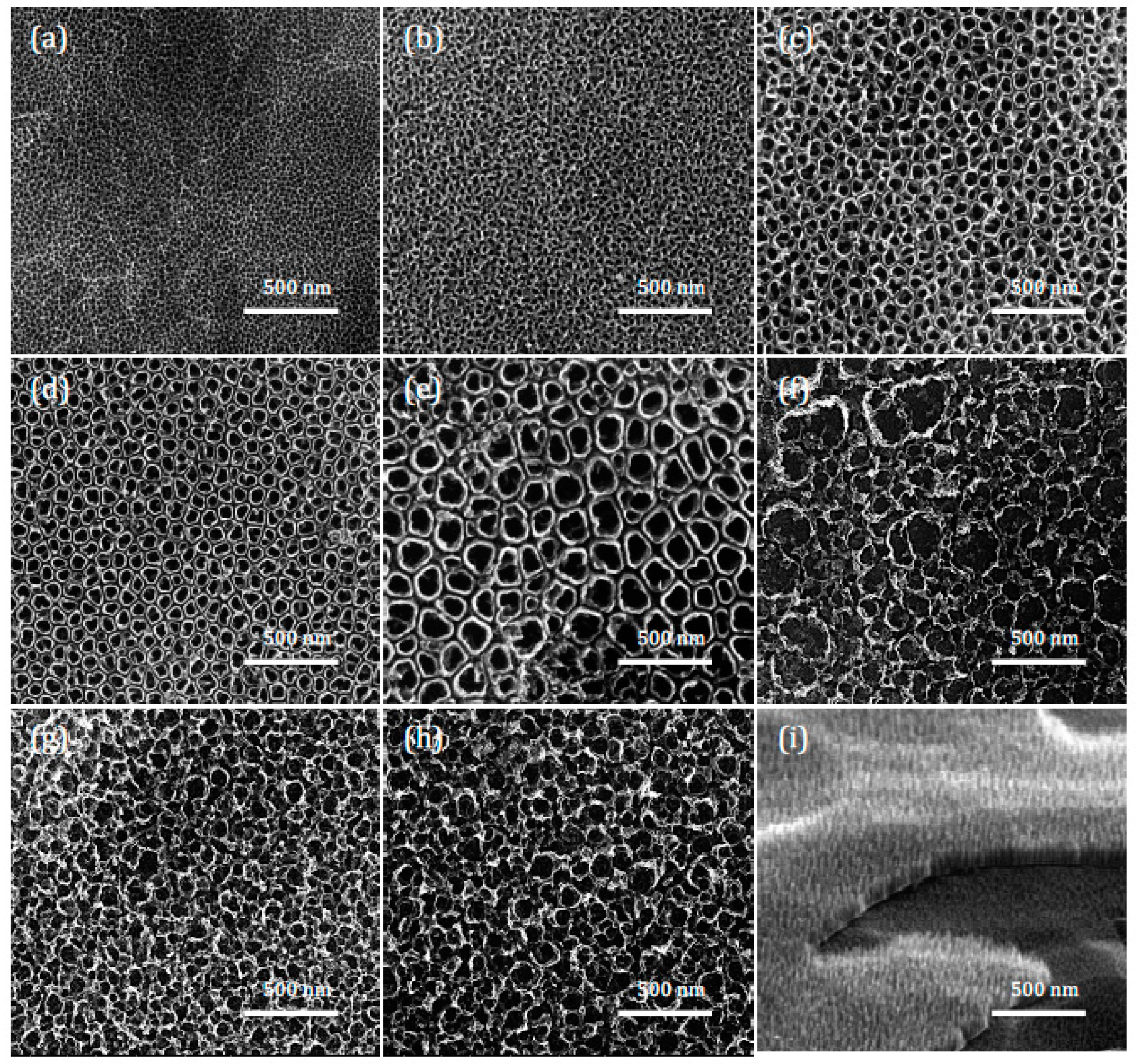 Catalysts 09 00279 g001