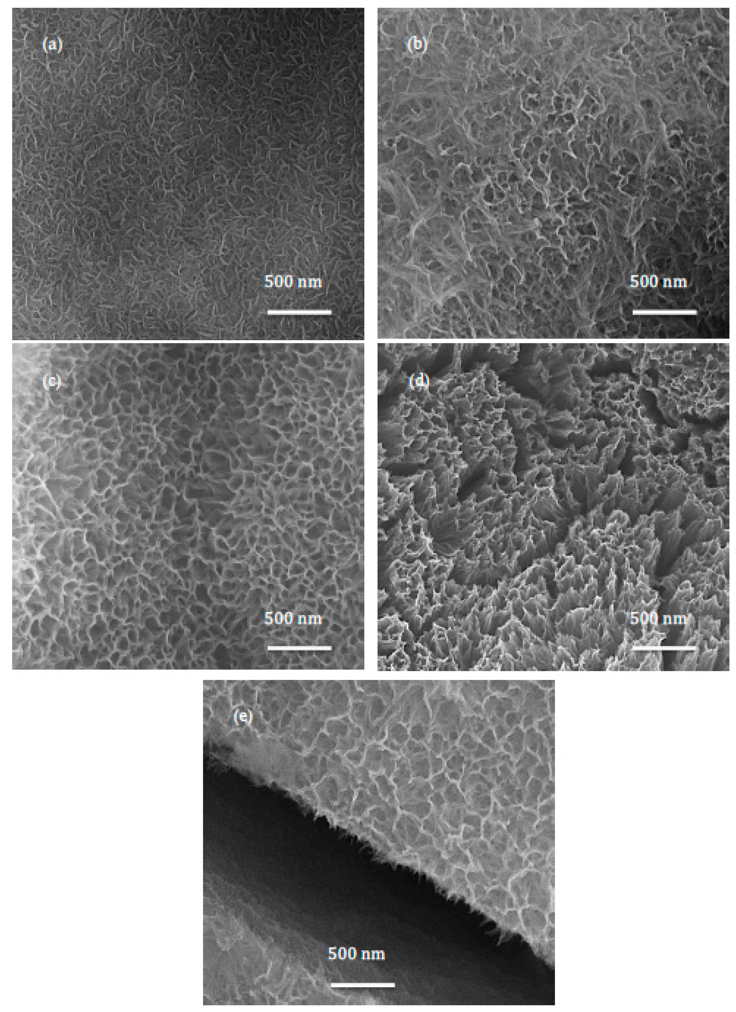 Catalysts 09 00279 g003