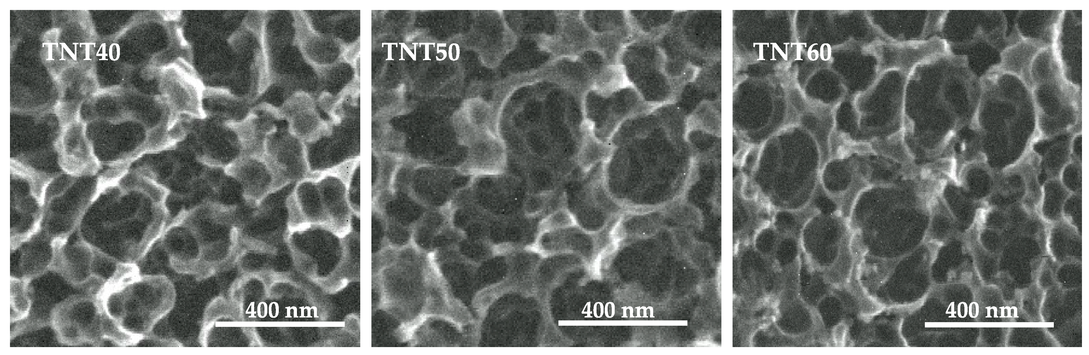 Catalysts 09 00279 g013