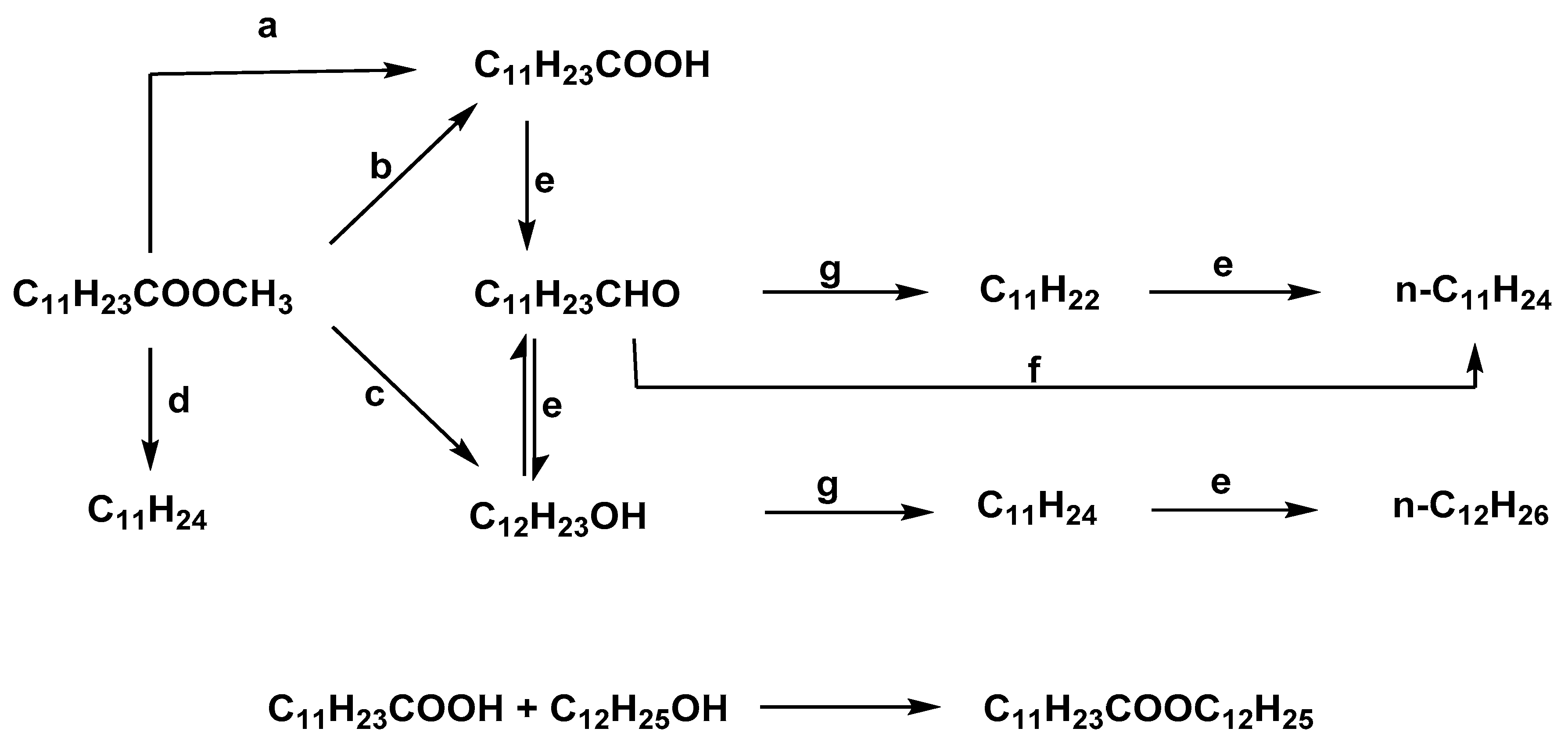 Catalysts 09 00293 g005