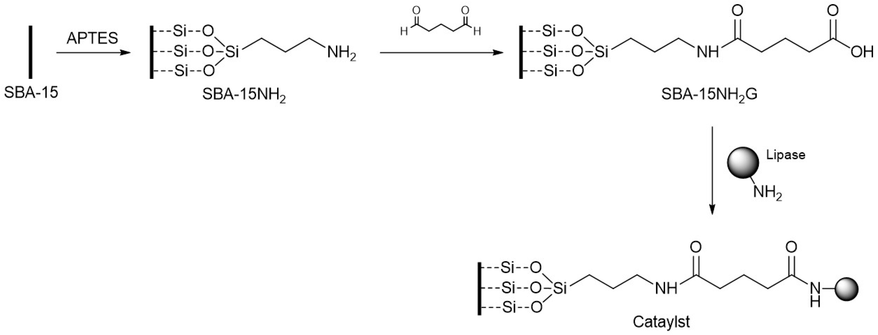 Catalysts 09 00296 g004
