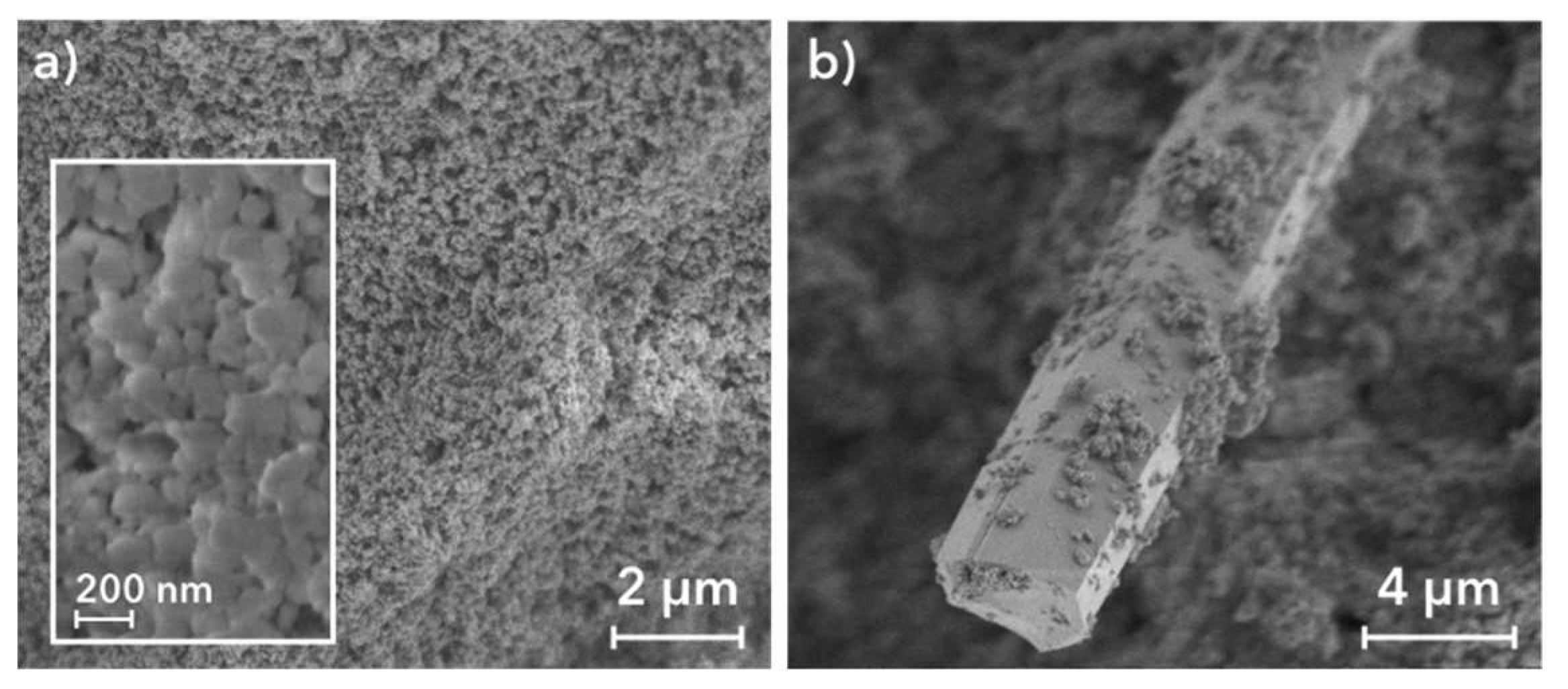 Catalysts 09 00309 g003