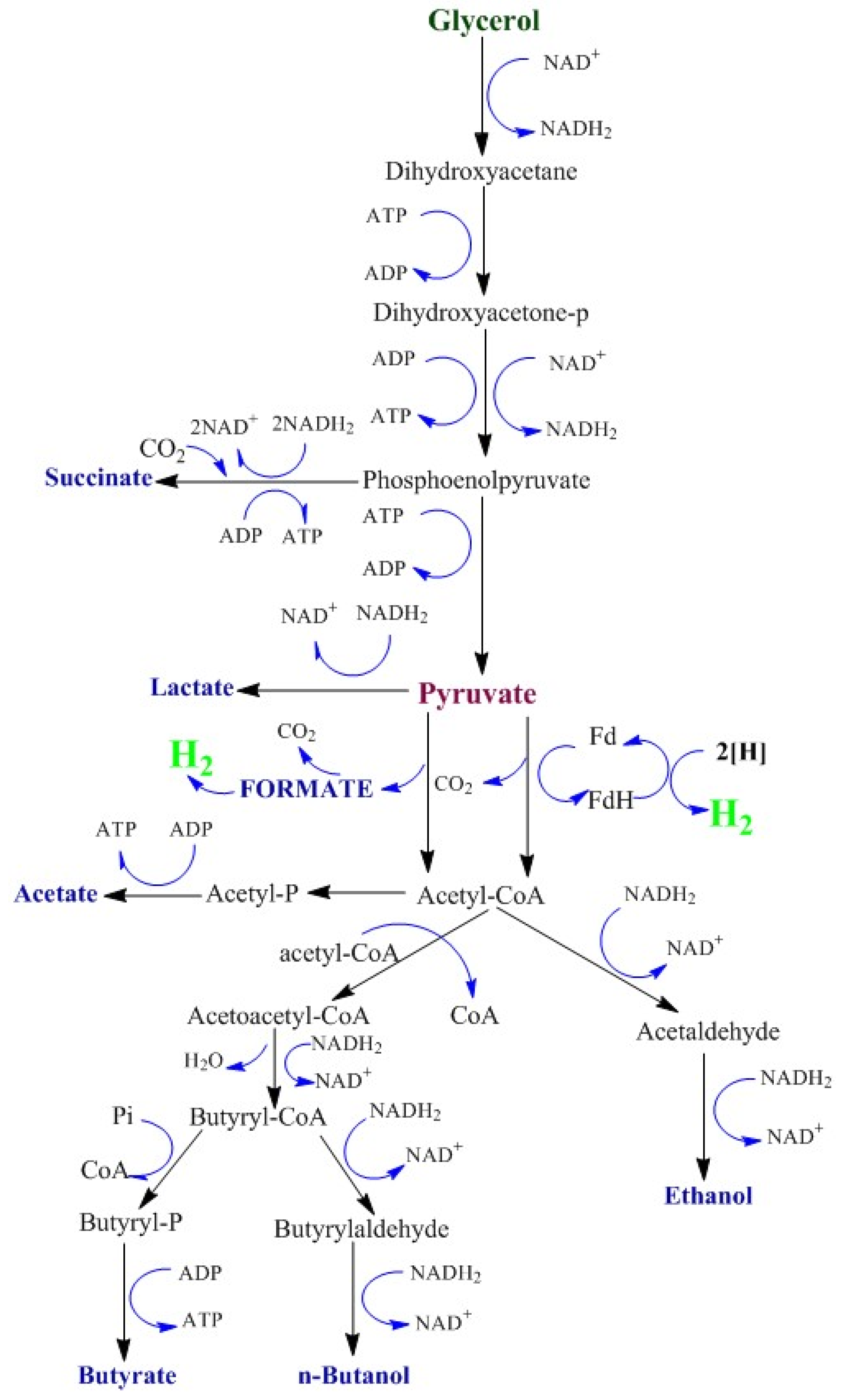 Catalysts 09 00316 g006 550