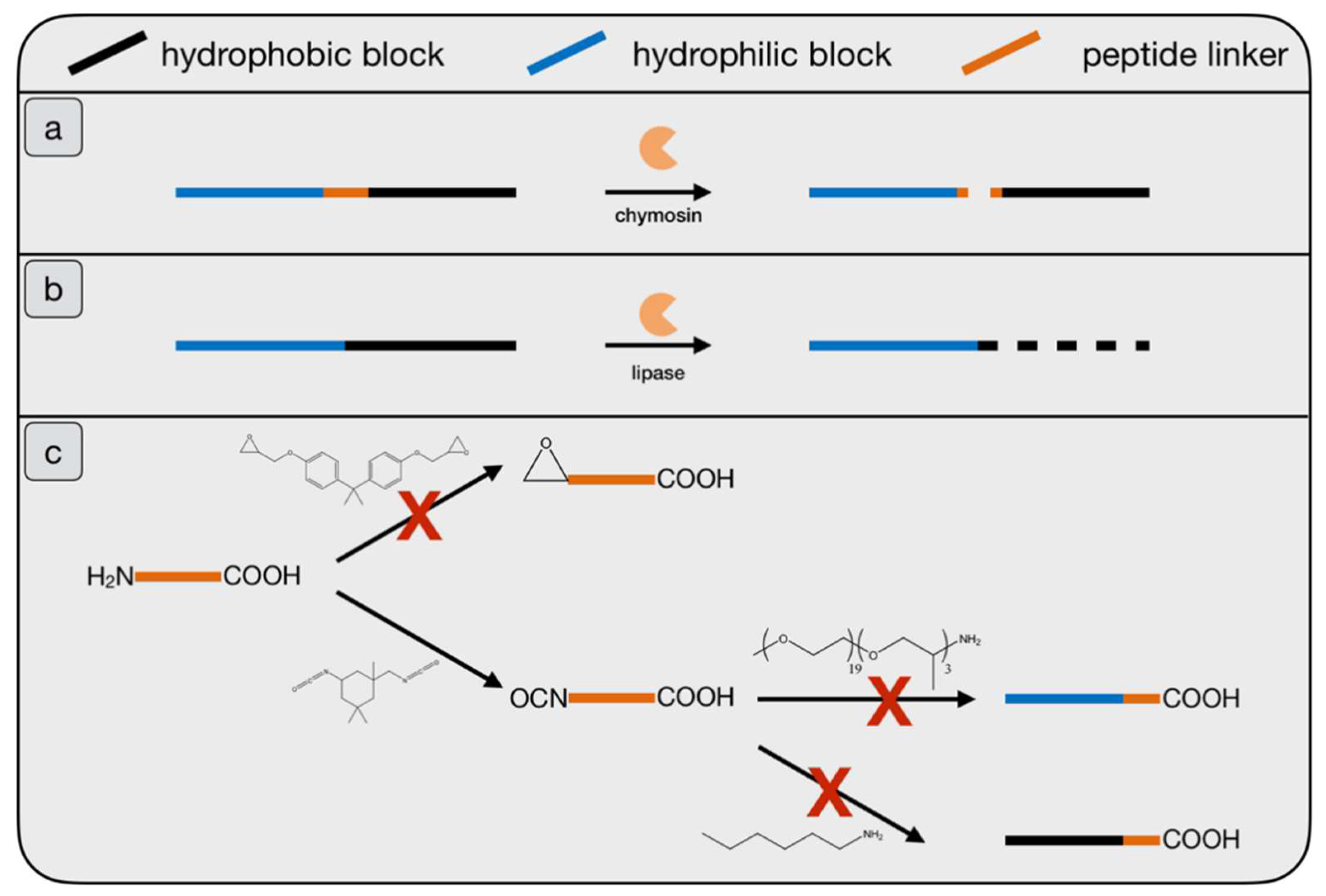 Catalysts 09 00354 g002 Catalysts 09 00354 g002