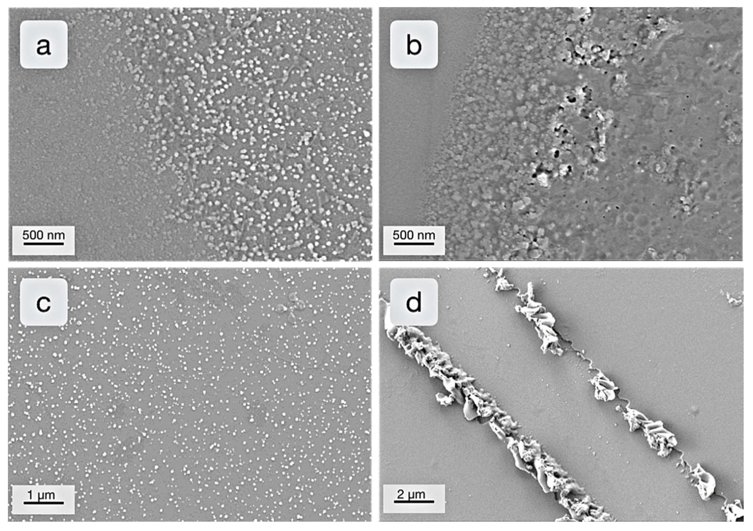 Catalysts 09 00354 g008 Catalysts 09 00354 g008