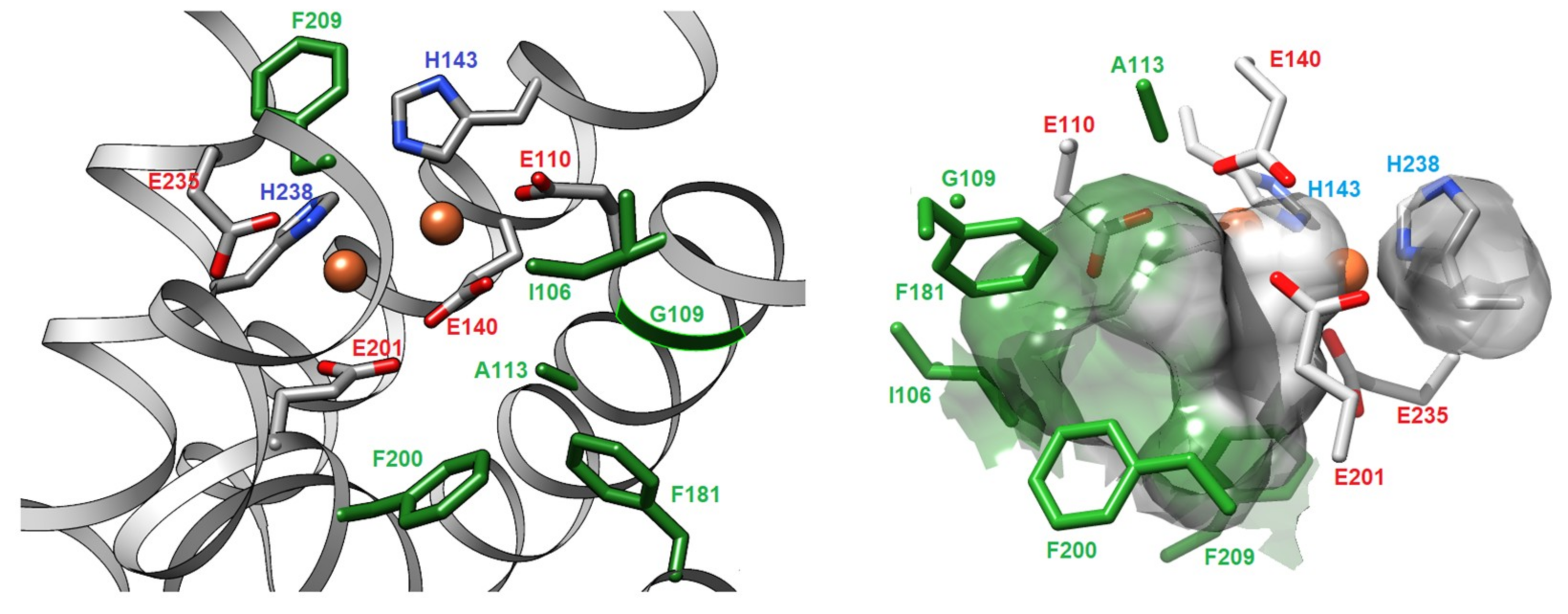 Catalysts 09 00356 g002