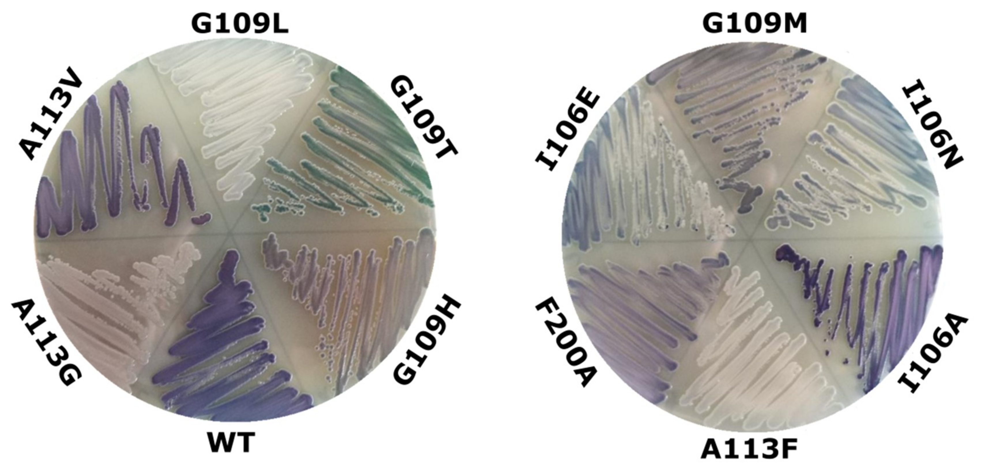 Catalysts 09 00356 g003