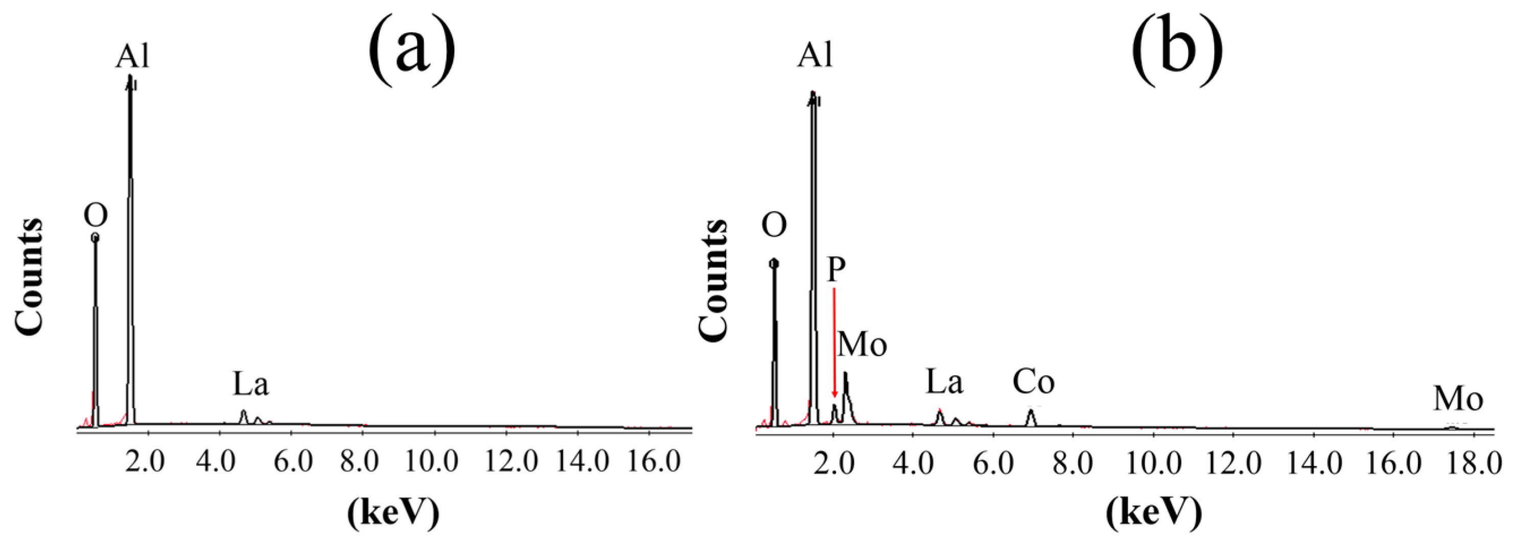 Catalysts 09 00359 g003