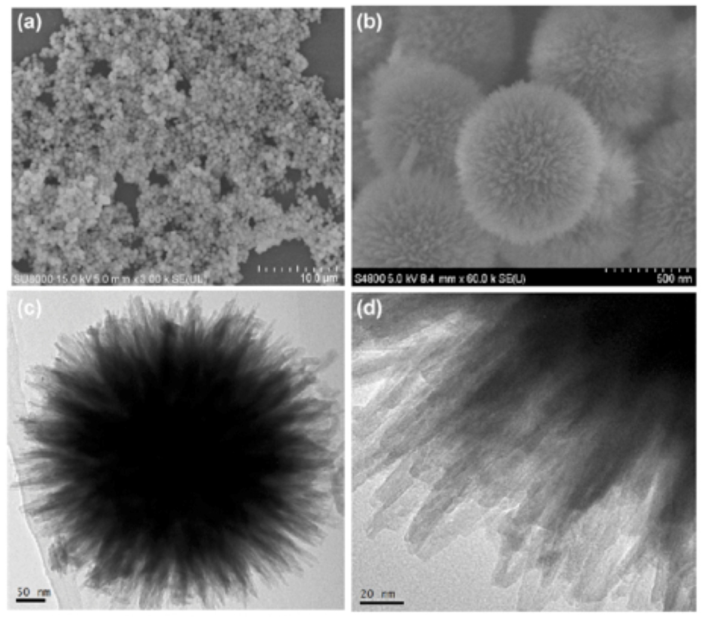 Catalysts 09 00370 g005