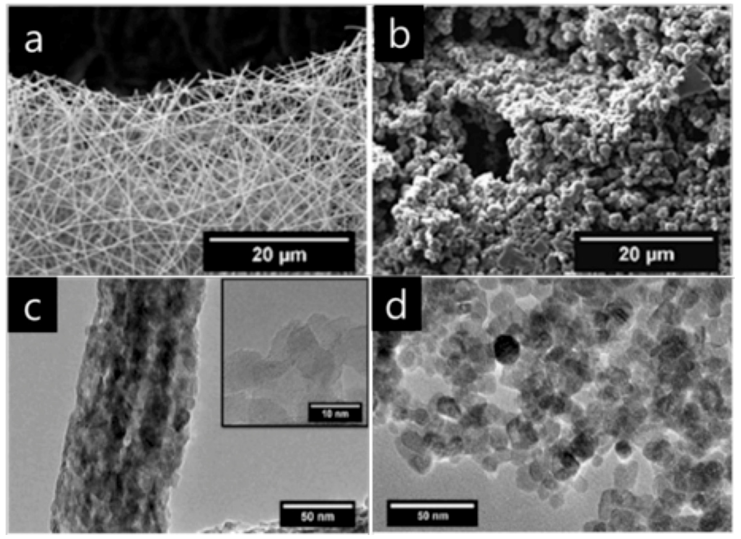 Catalysts 09 00370 g008