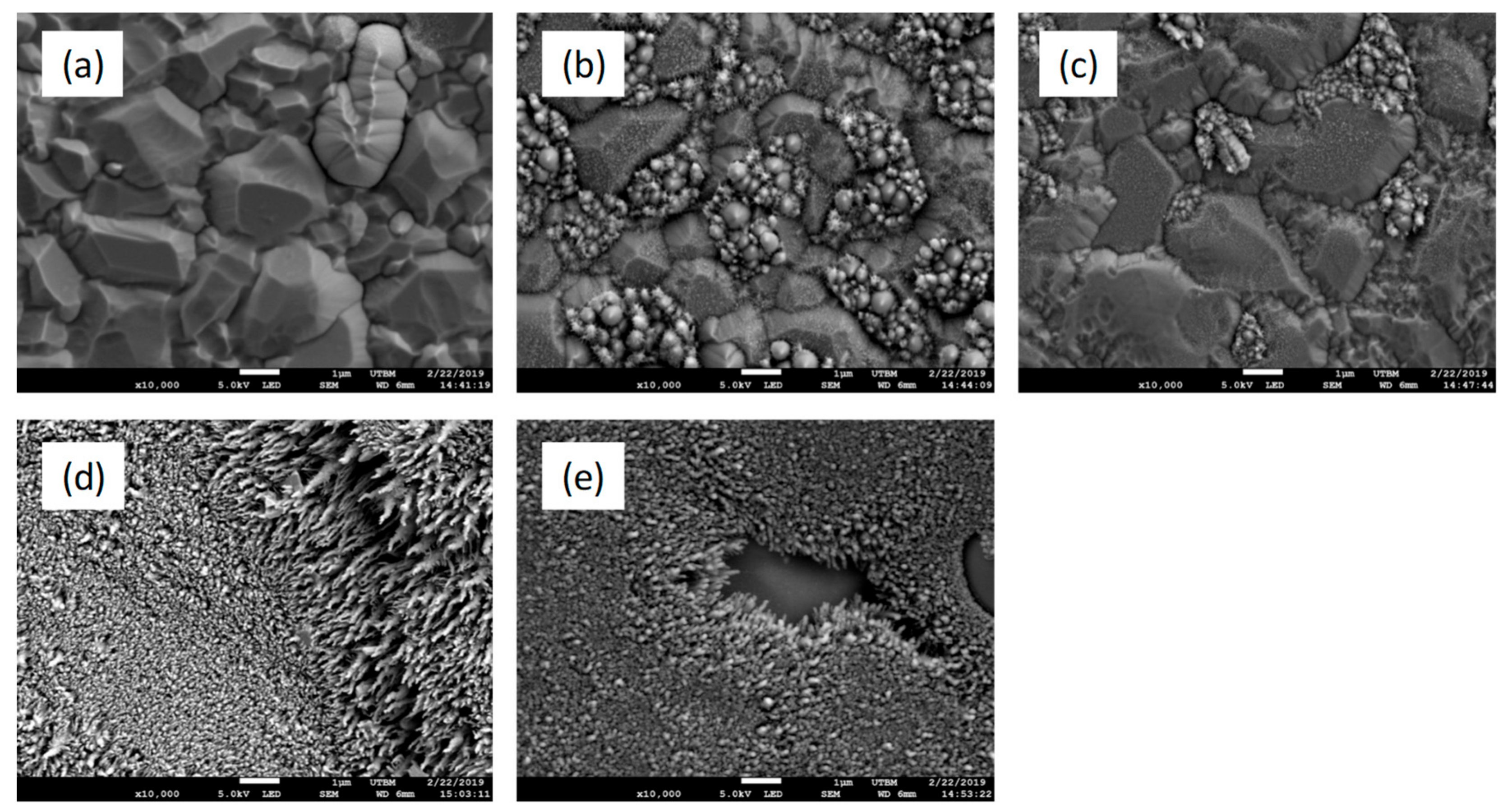 Catalysts 09 00381 g005 Catalysts 09 00381 g005