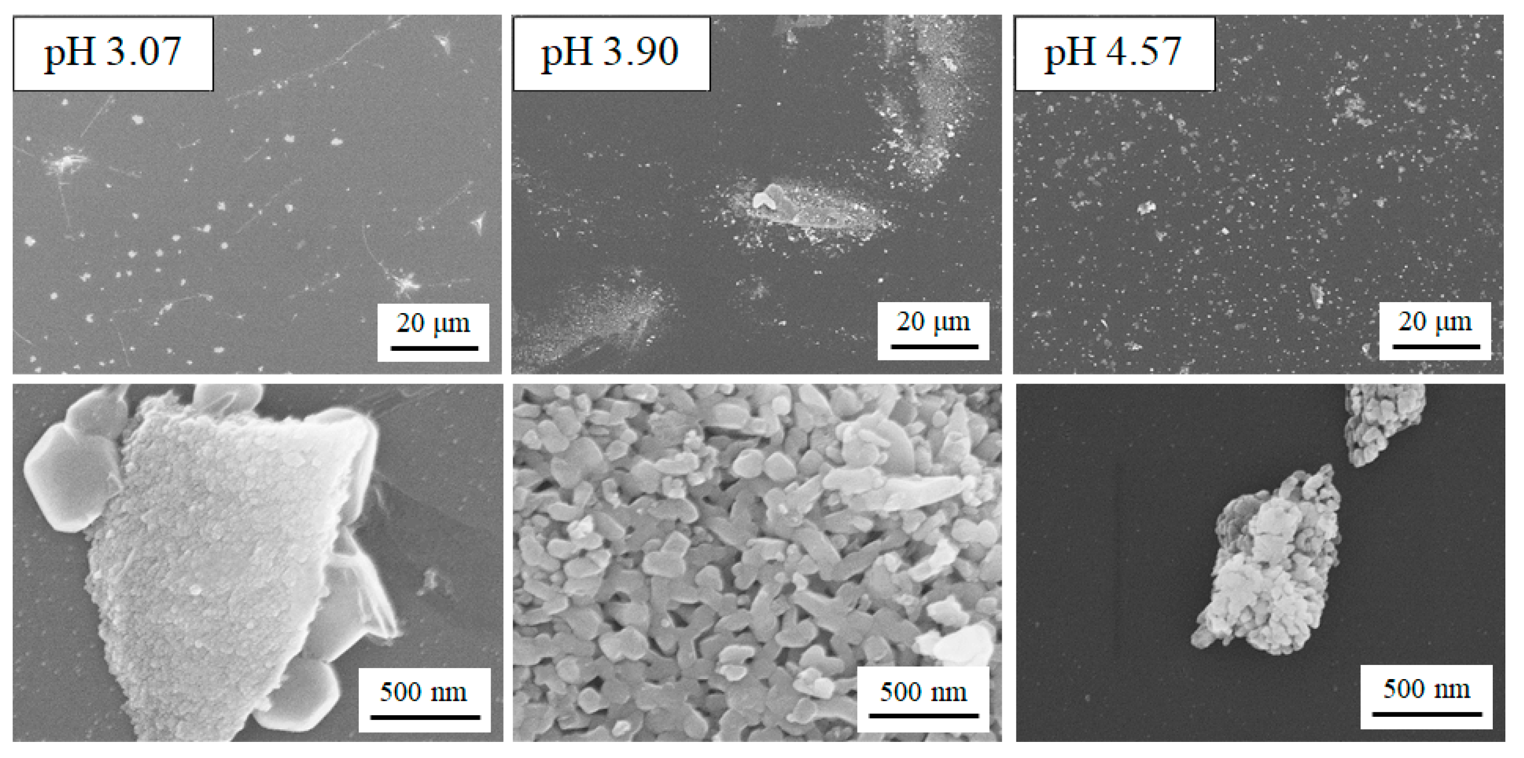 Catalysts 09 00383 g004