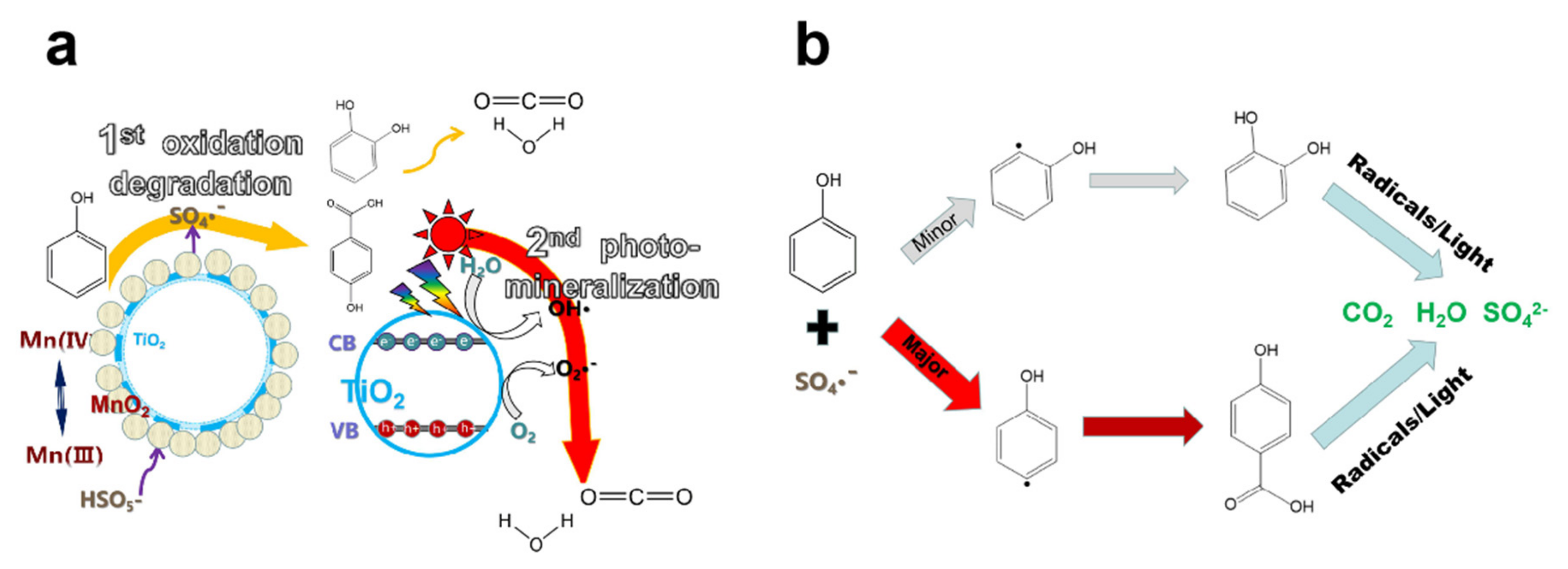 Catalysts 09 00390 g009 550