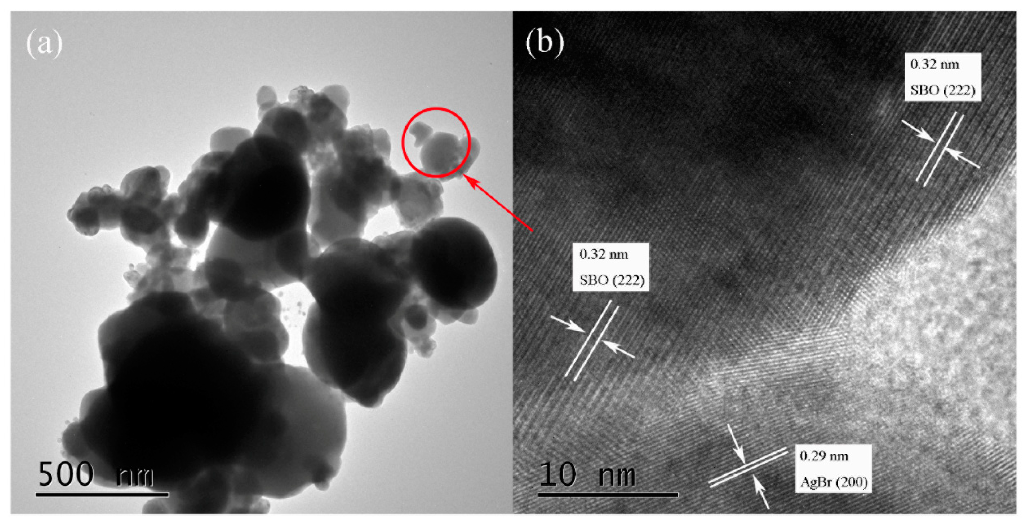 Catalysts 09 00394 g005 550