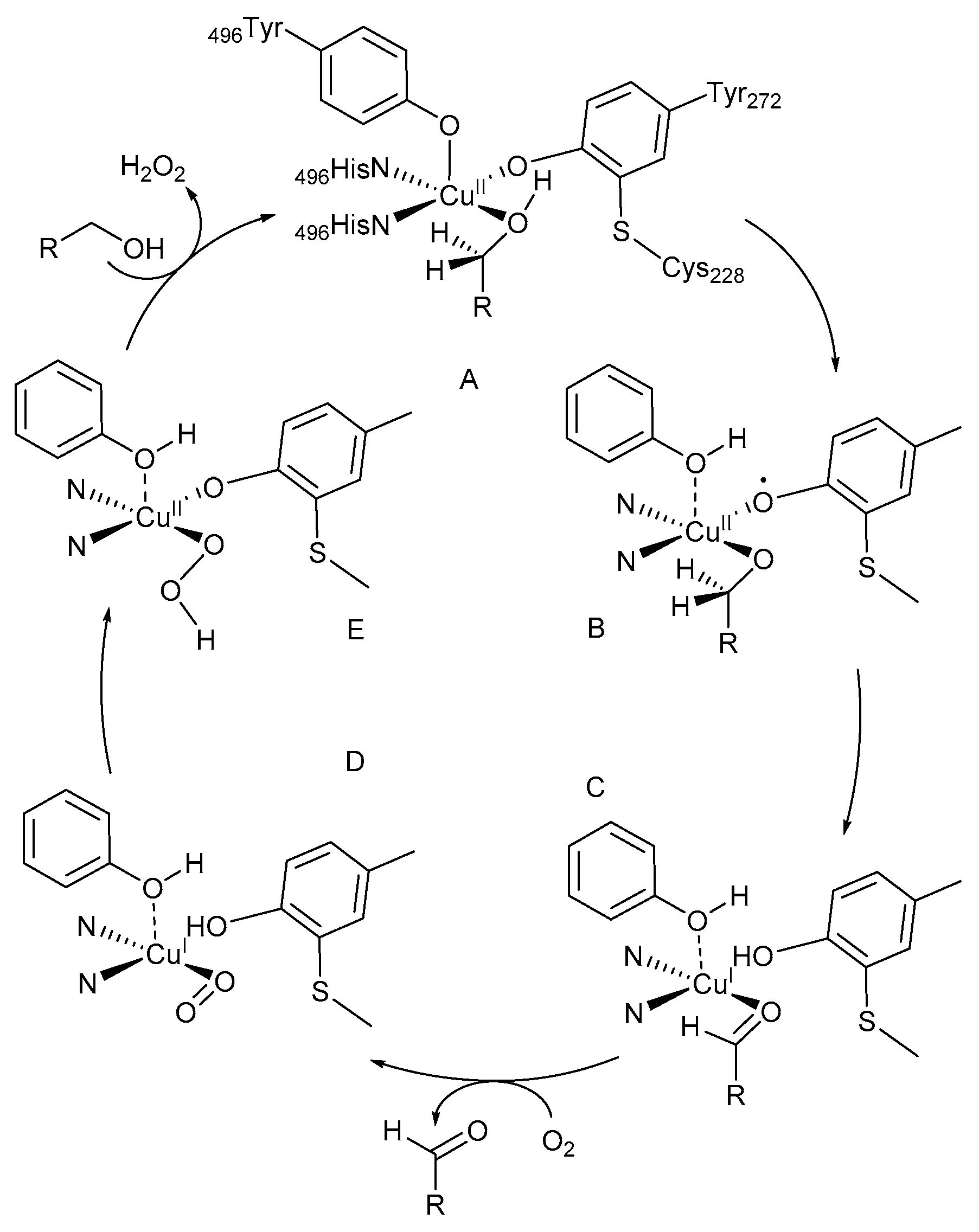 Catalysts 09 00395 sch001 Catalysts 09 00395 sch001