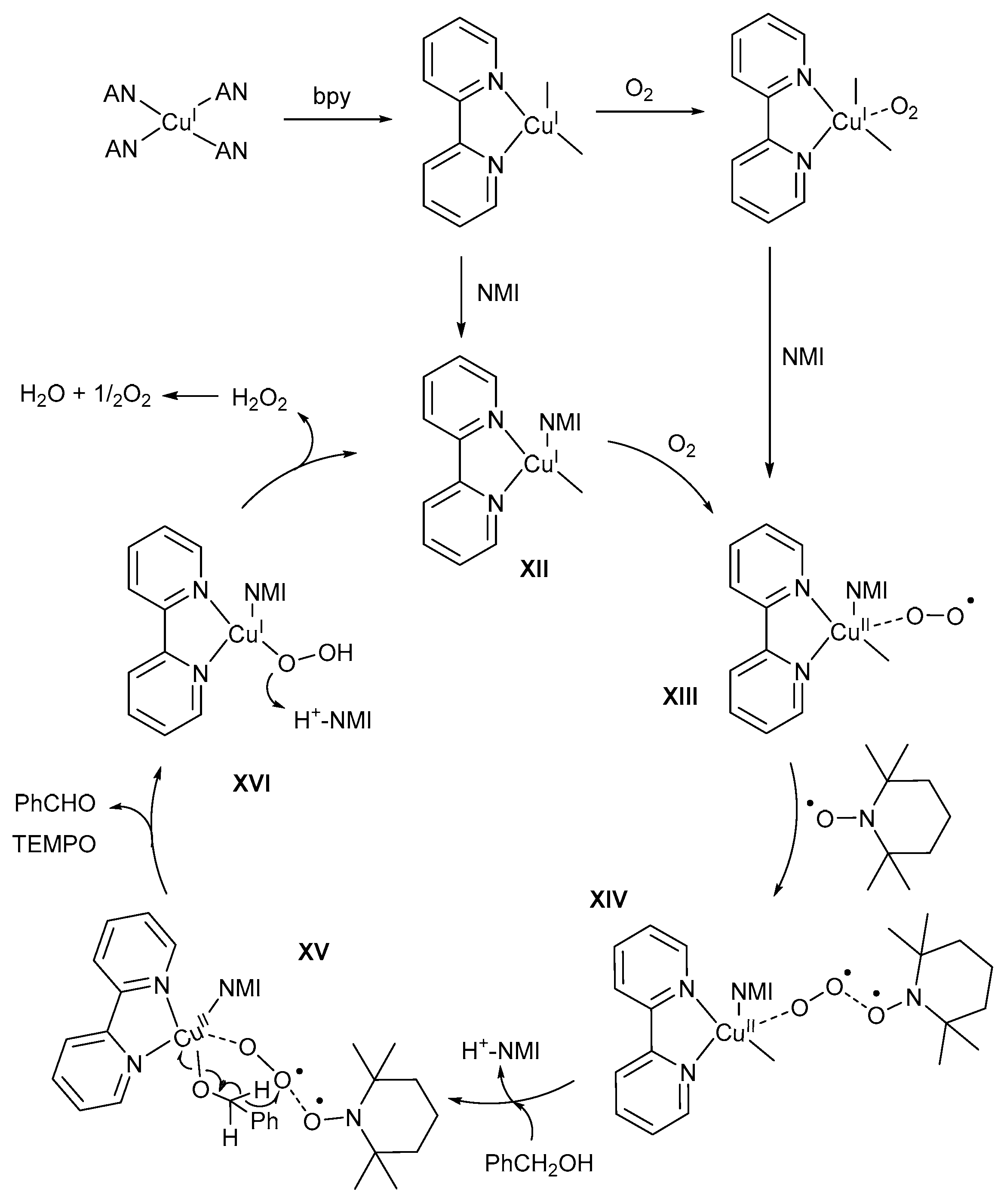 Catalysts 09 00395 sch021 Catalysts 09 00395 sch021