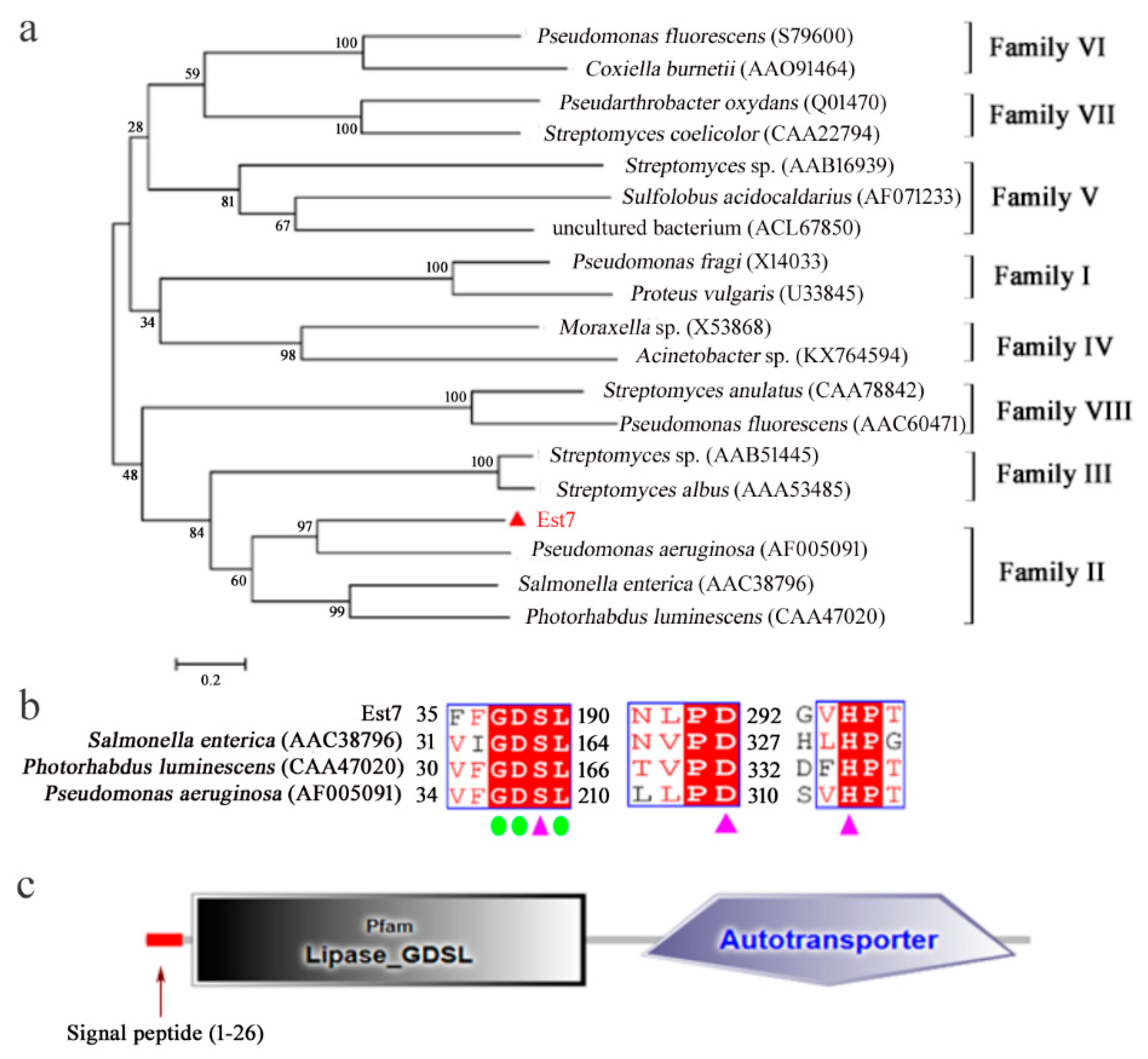 Catalysts 09 00401 g001 Catalysts 09 00401 g001