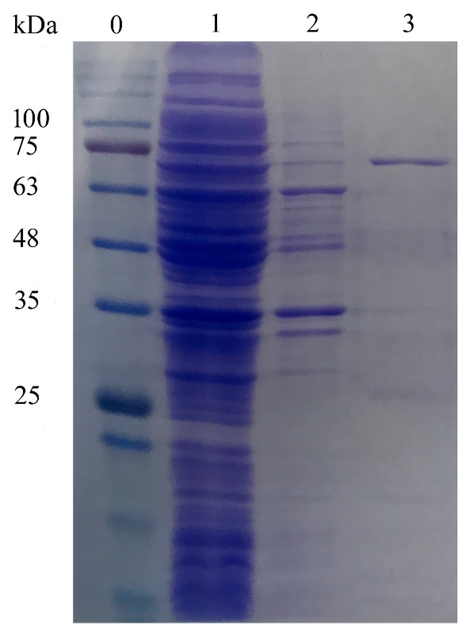 Catalysts 09 00401 g002 Catalysts 09 00401 g002