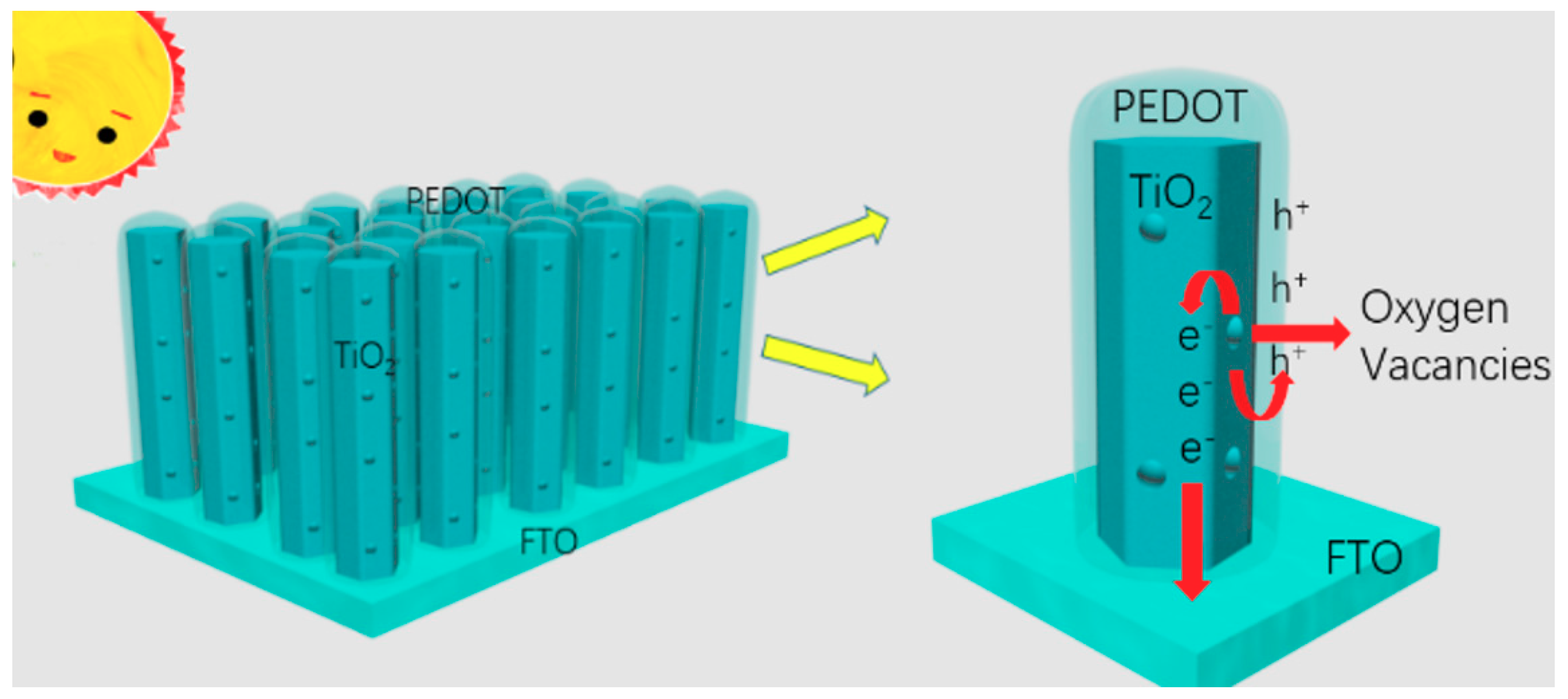 Catalysts 09 00407 g007 550