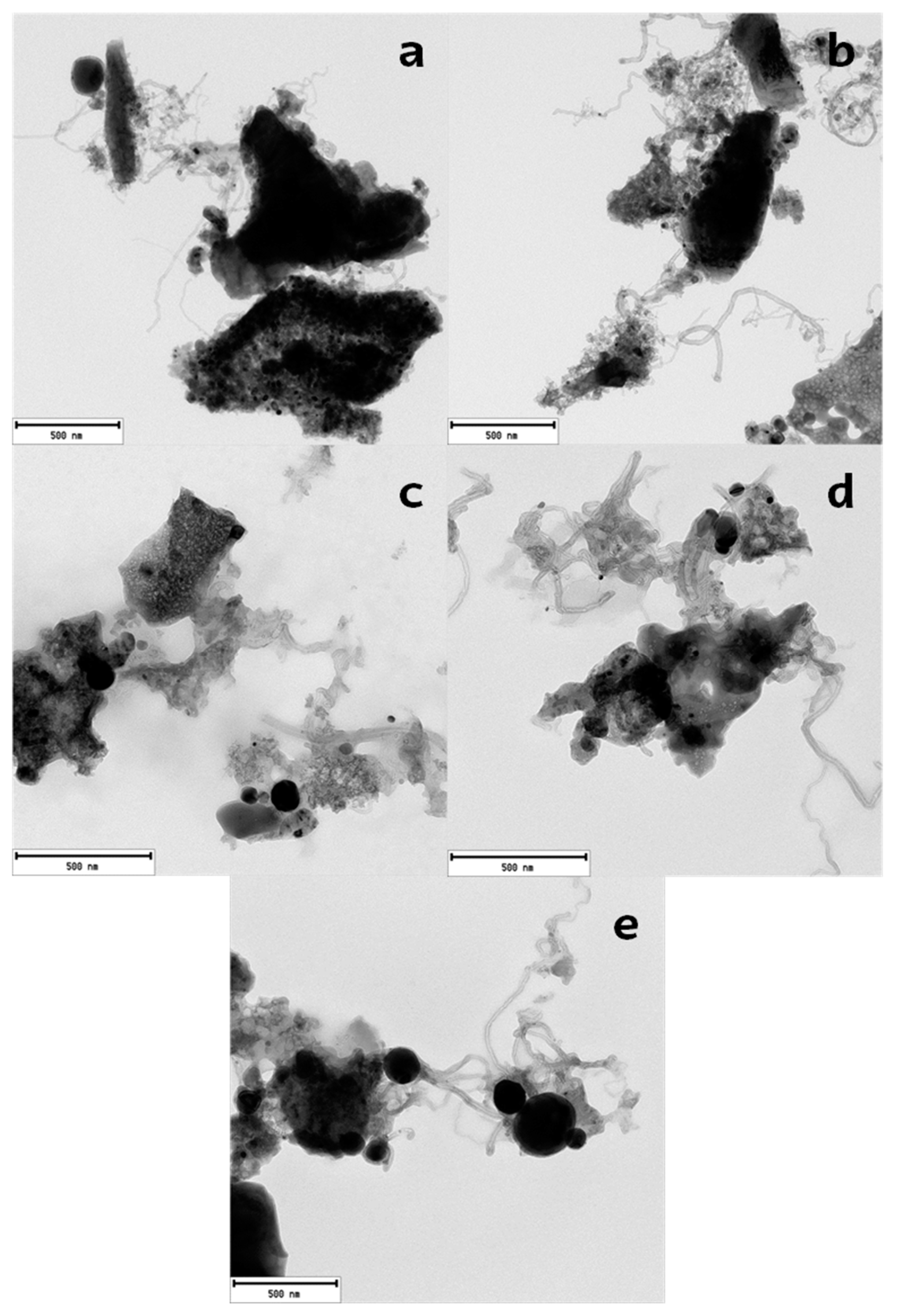 Catalysts 09 00414 g005