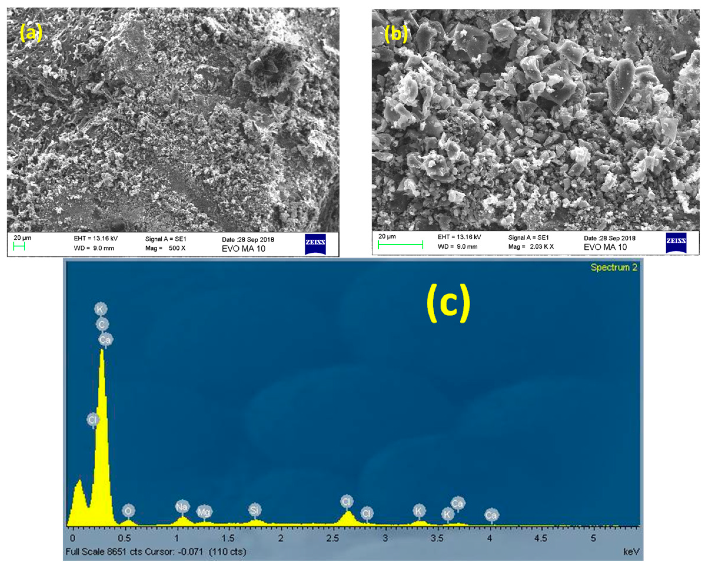 Catalysts 09 00419 g004