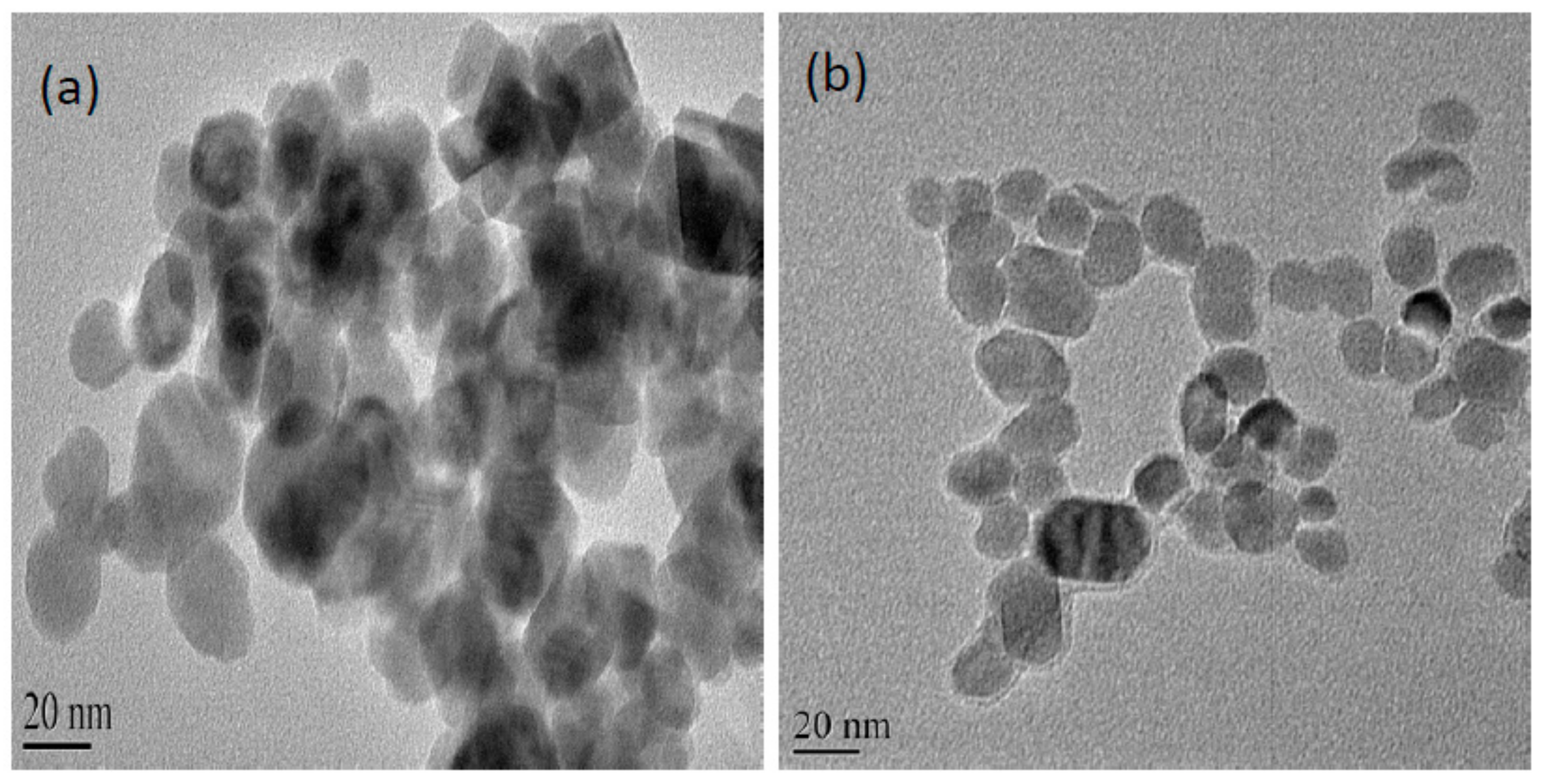 Catalysts 09 00420 g001 550
