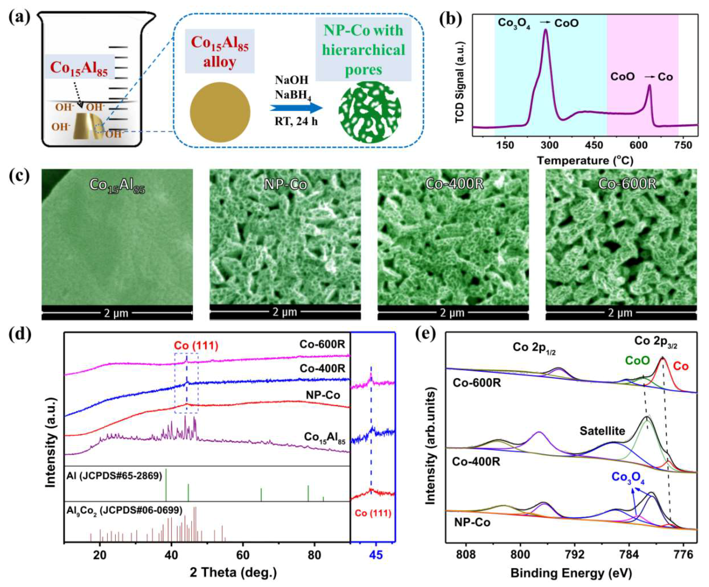 Catalysts 09 00423 g001 Catalysts 09 00423 g001