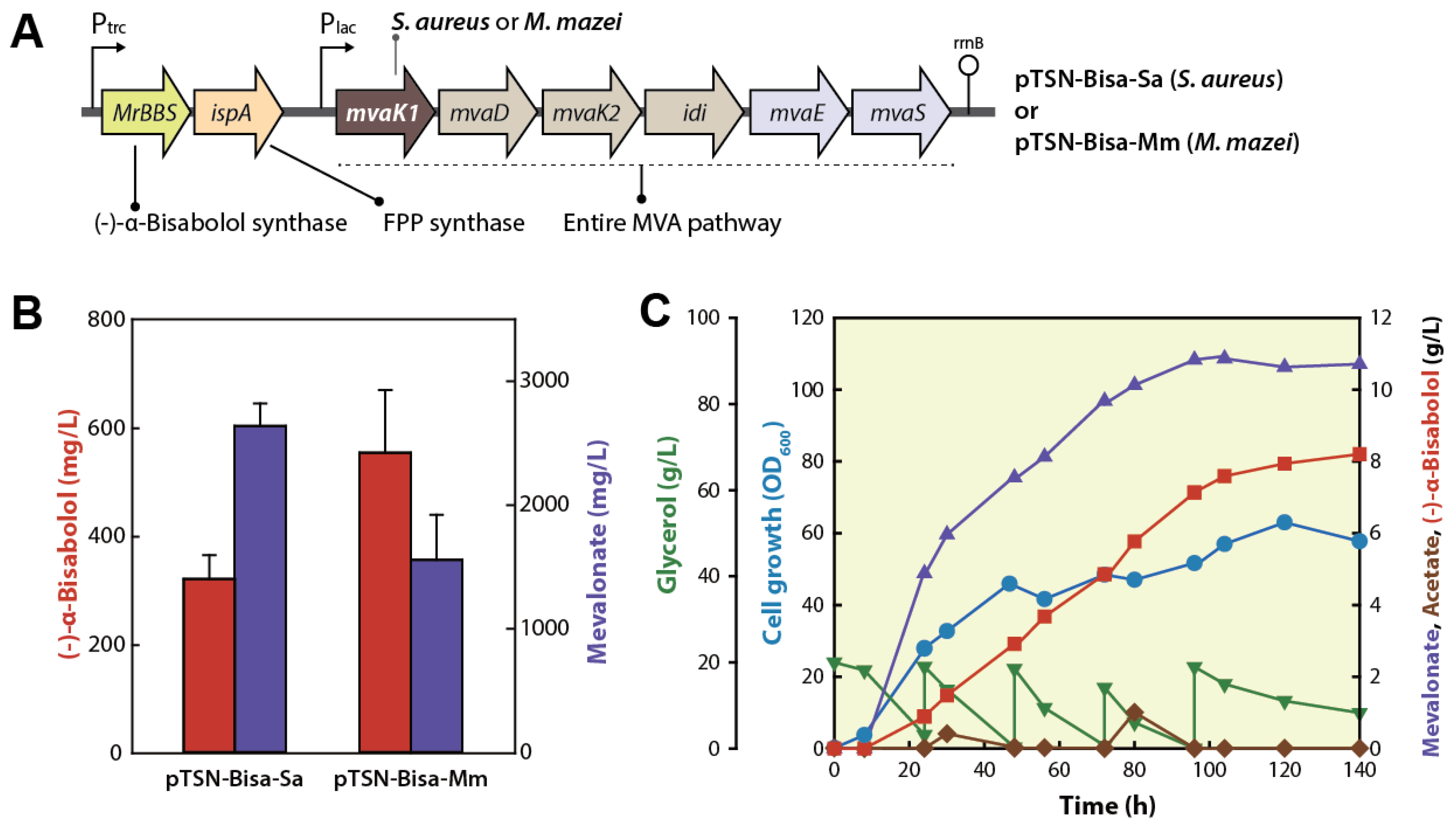 Catalysts 09 00432 g002