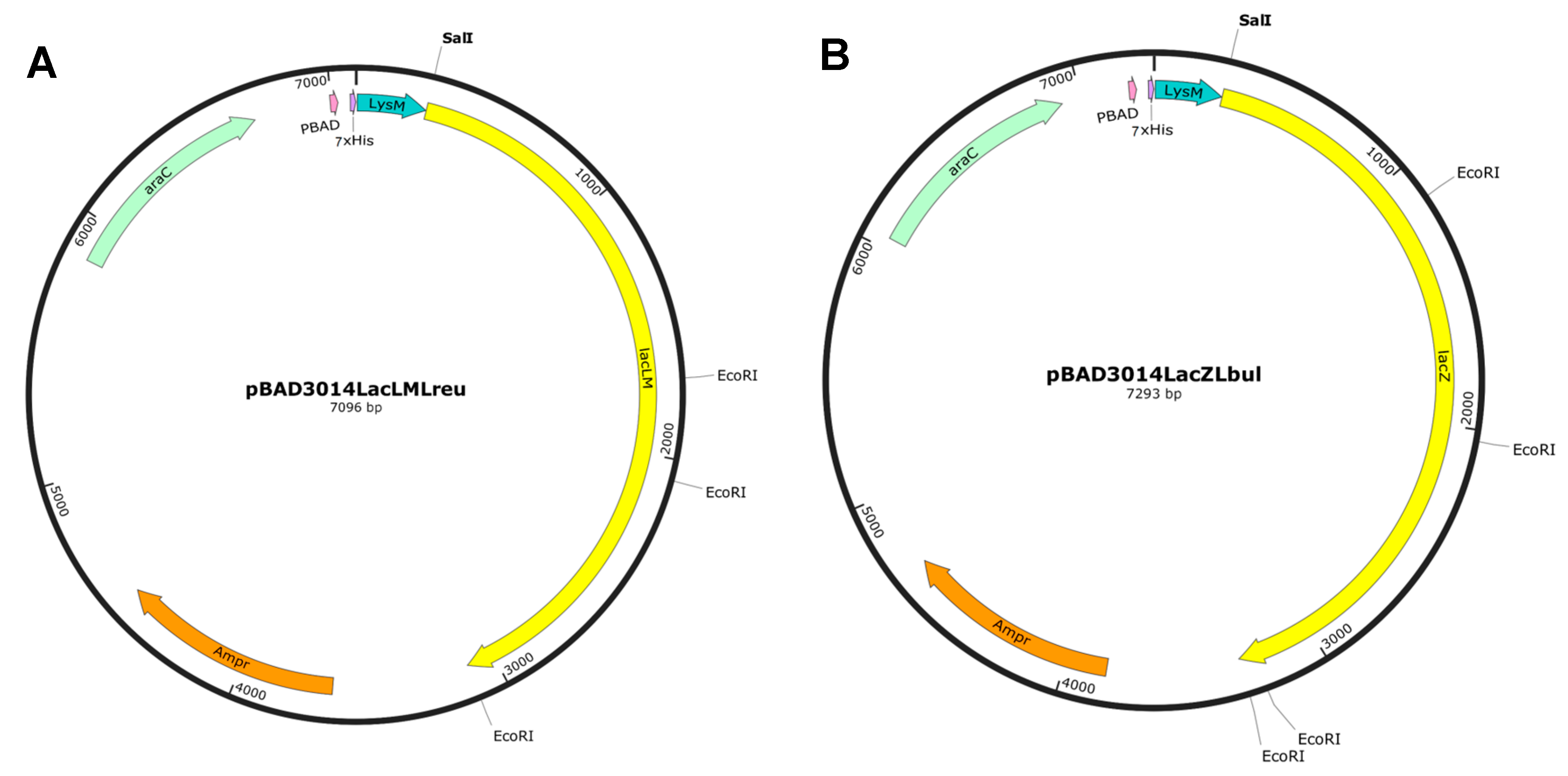 Catalysts 09 00443 g001
