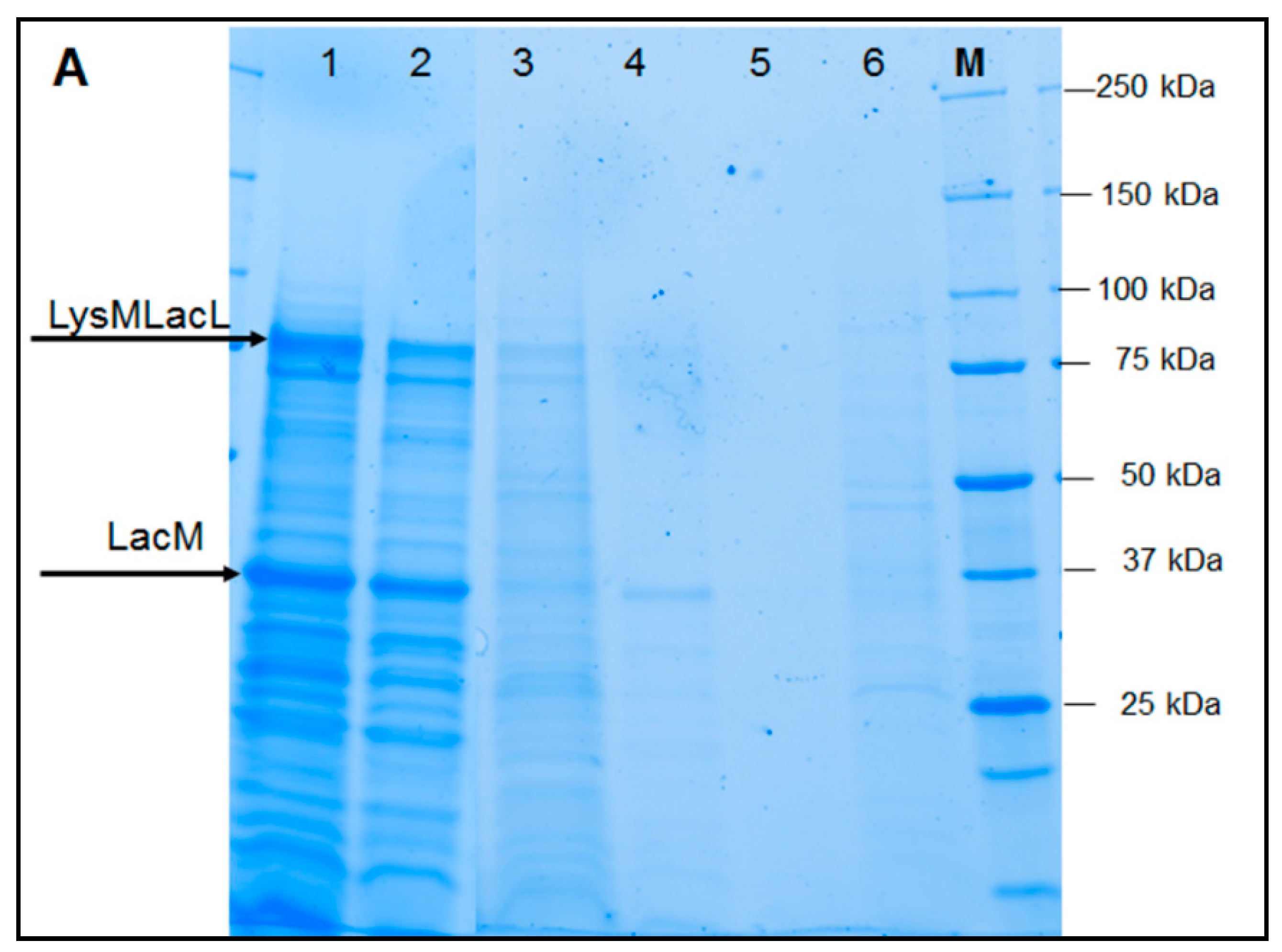 Catalysts 09 00443 g003a