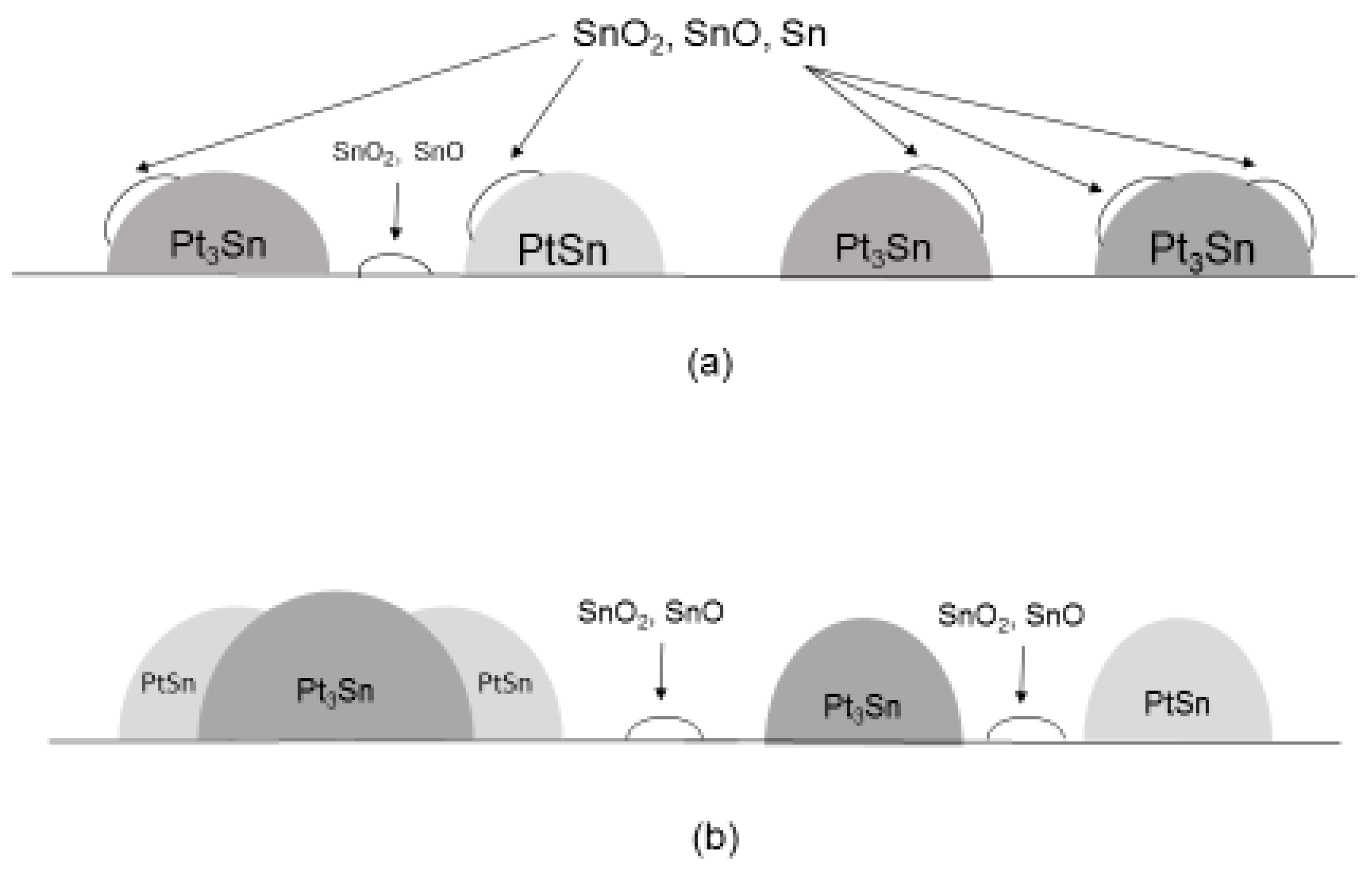 Catalysts 09 00446 g010 550