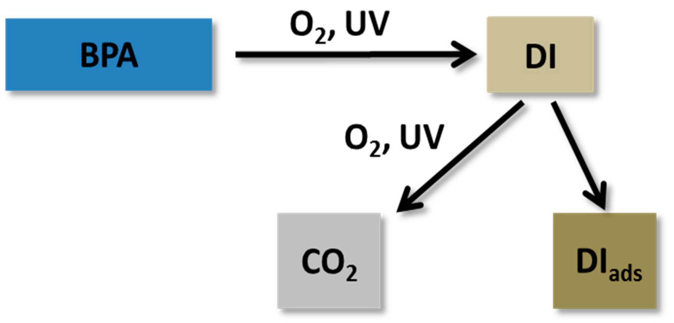 Catalysts 09 00447 g012