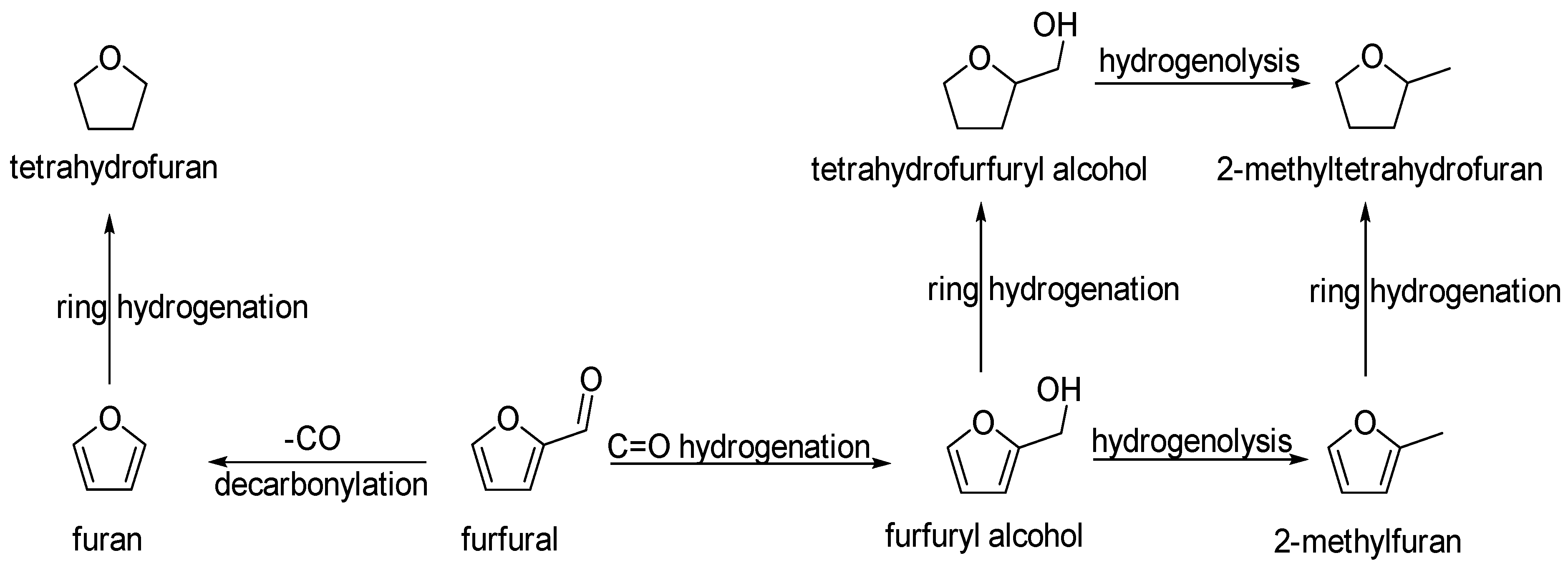 Catalysts 09 00451 g010