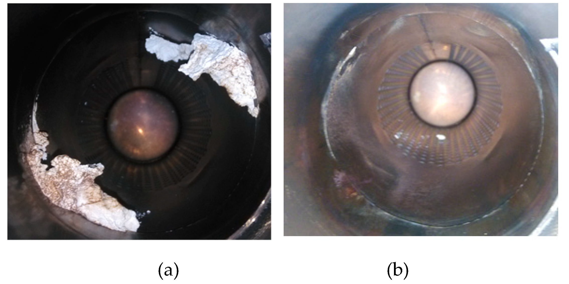 Catalysts 09 00452 g014