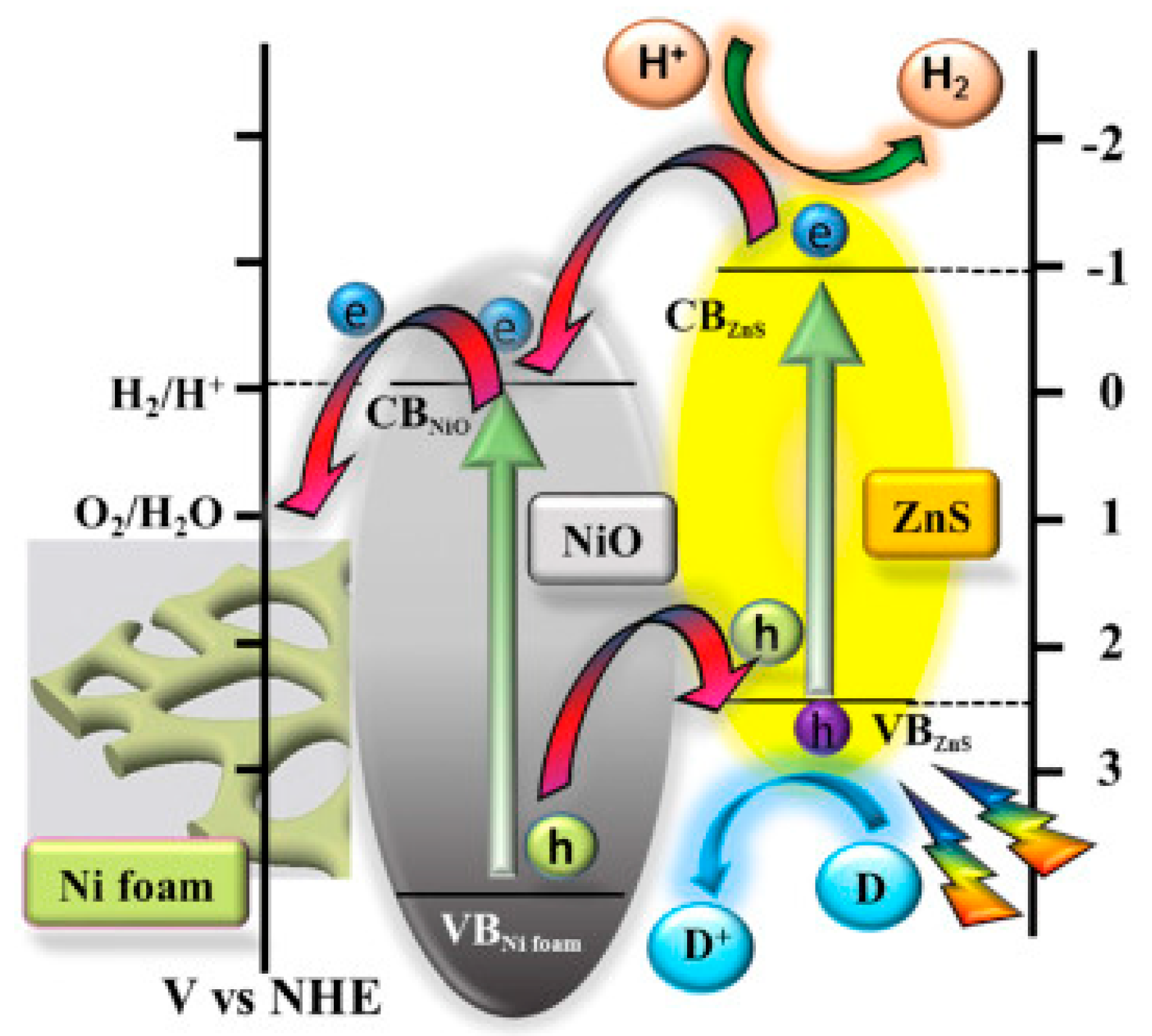 Catalysts 09 00457 g005