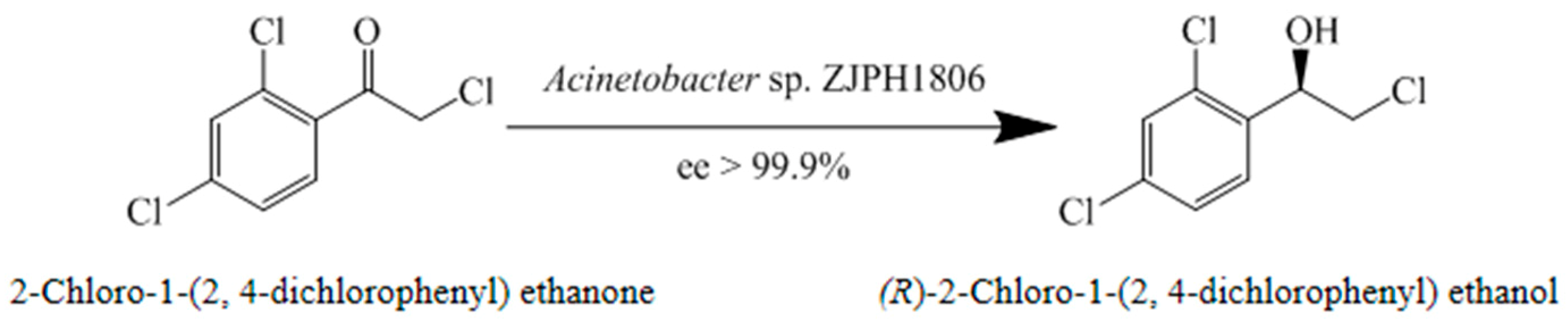 Catalysts 09 00462 g002 550
