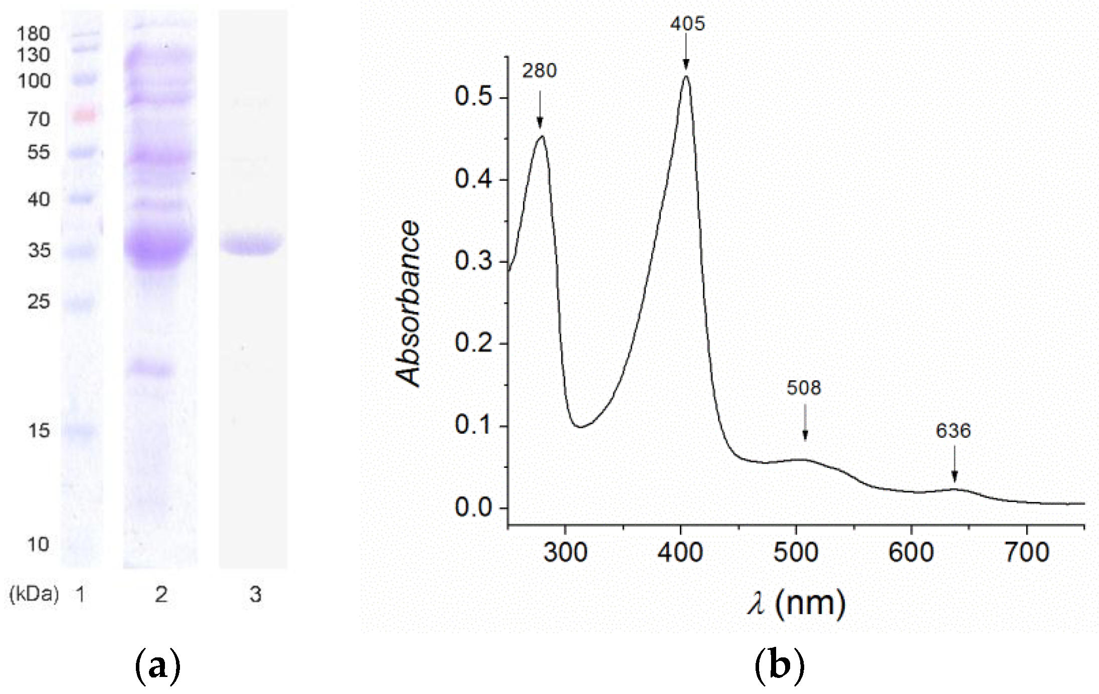 Catalysts 09 00463 g001 Catalysts 09 00463 g001