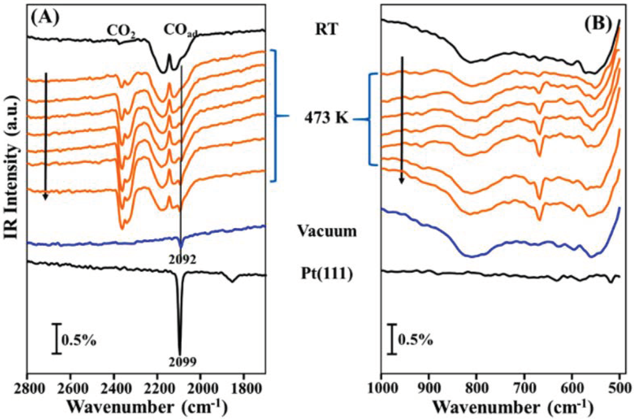 Operando Infrared Spectroscopy Reveals the Dynamic Nature of