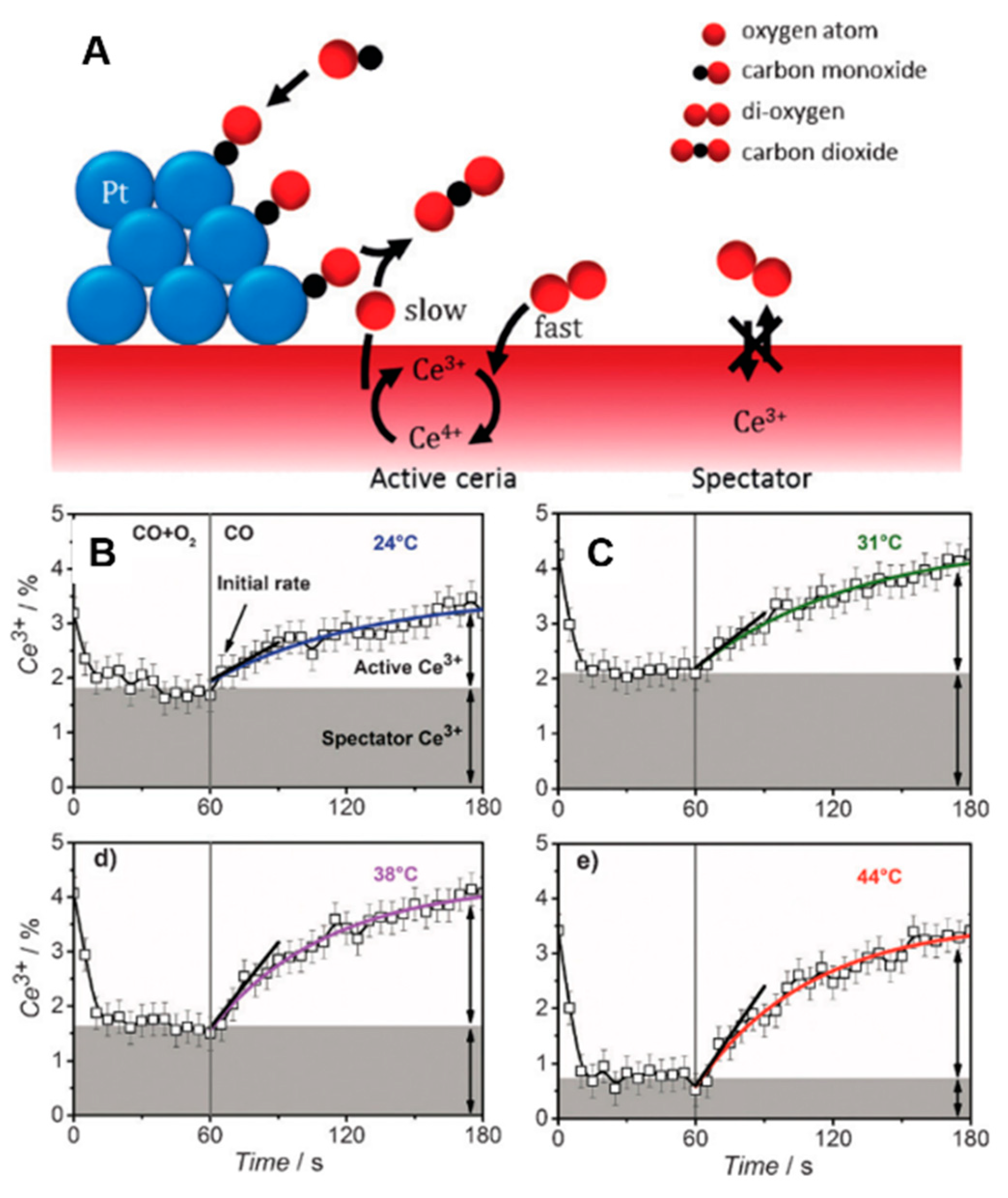 Catalysts 09 00477 g007