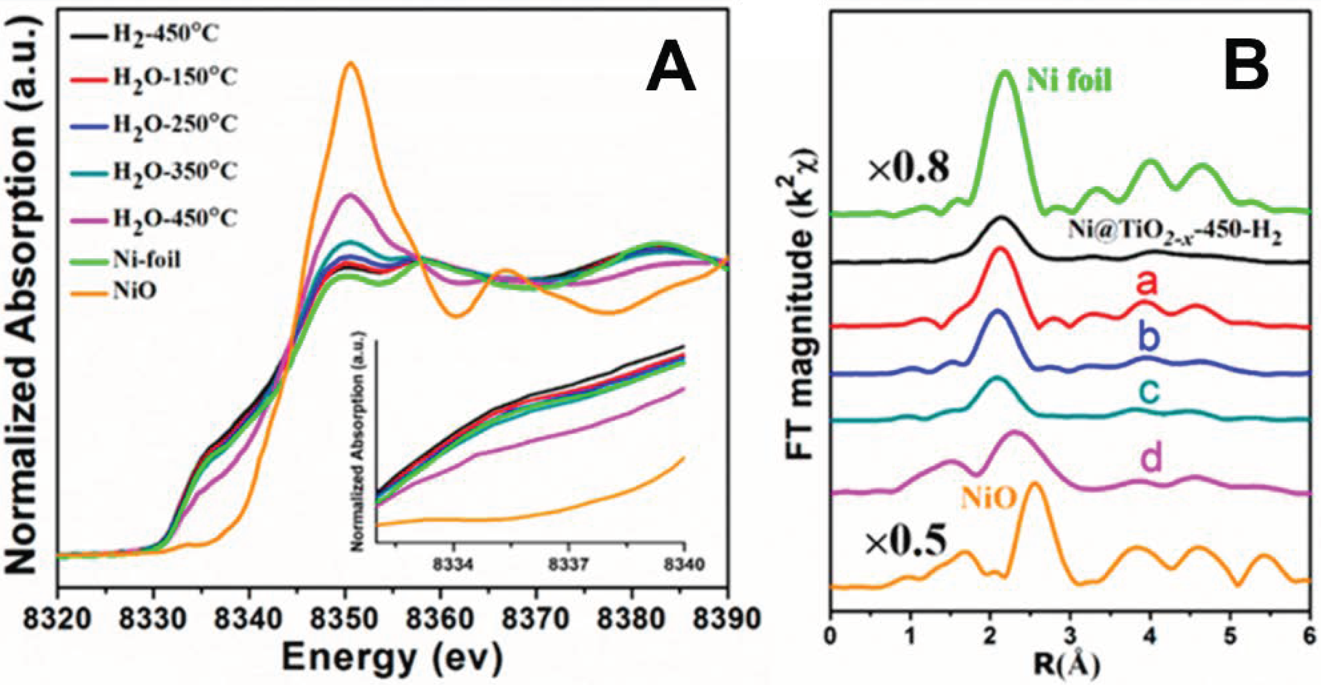 Catalysts 09 00477 g009