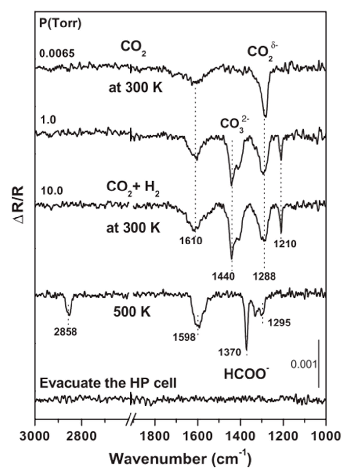 Catalysts 09 00477 g010