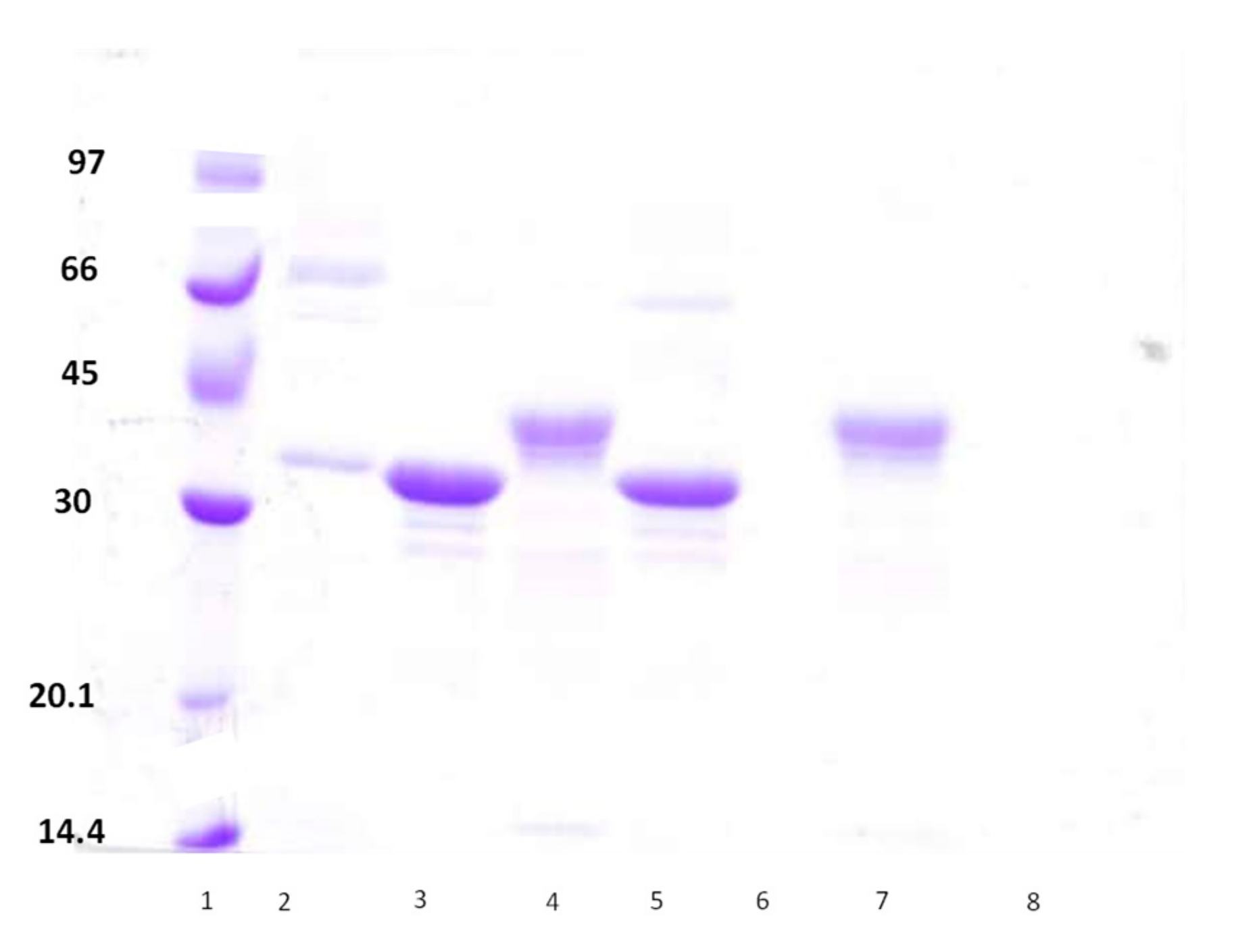 Catalysts 09 00487 g008 Catalysts 09 00487 g008