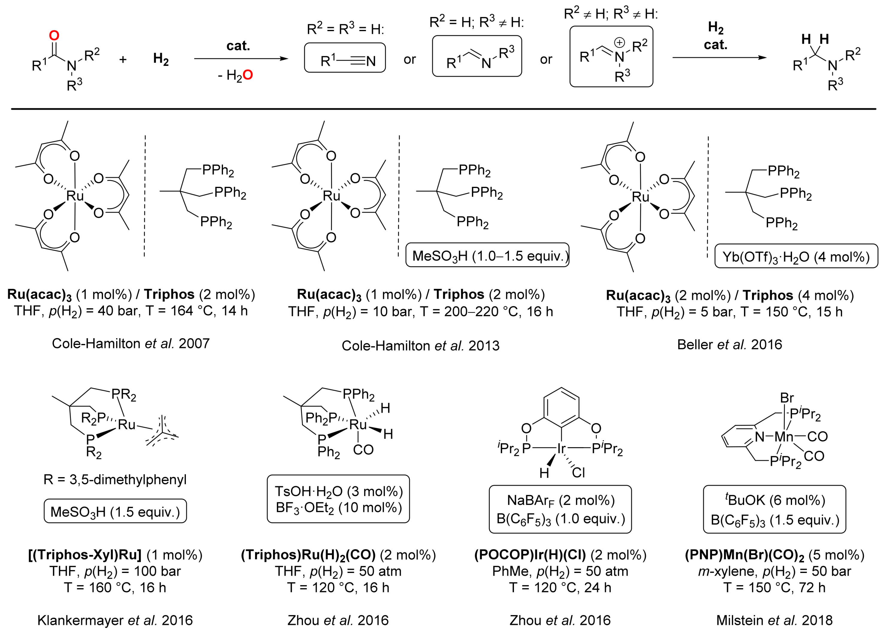 Catalysts 09 00490 sch030 Catalysts 09 00490 sch030