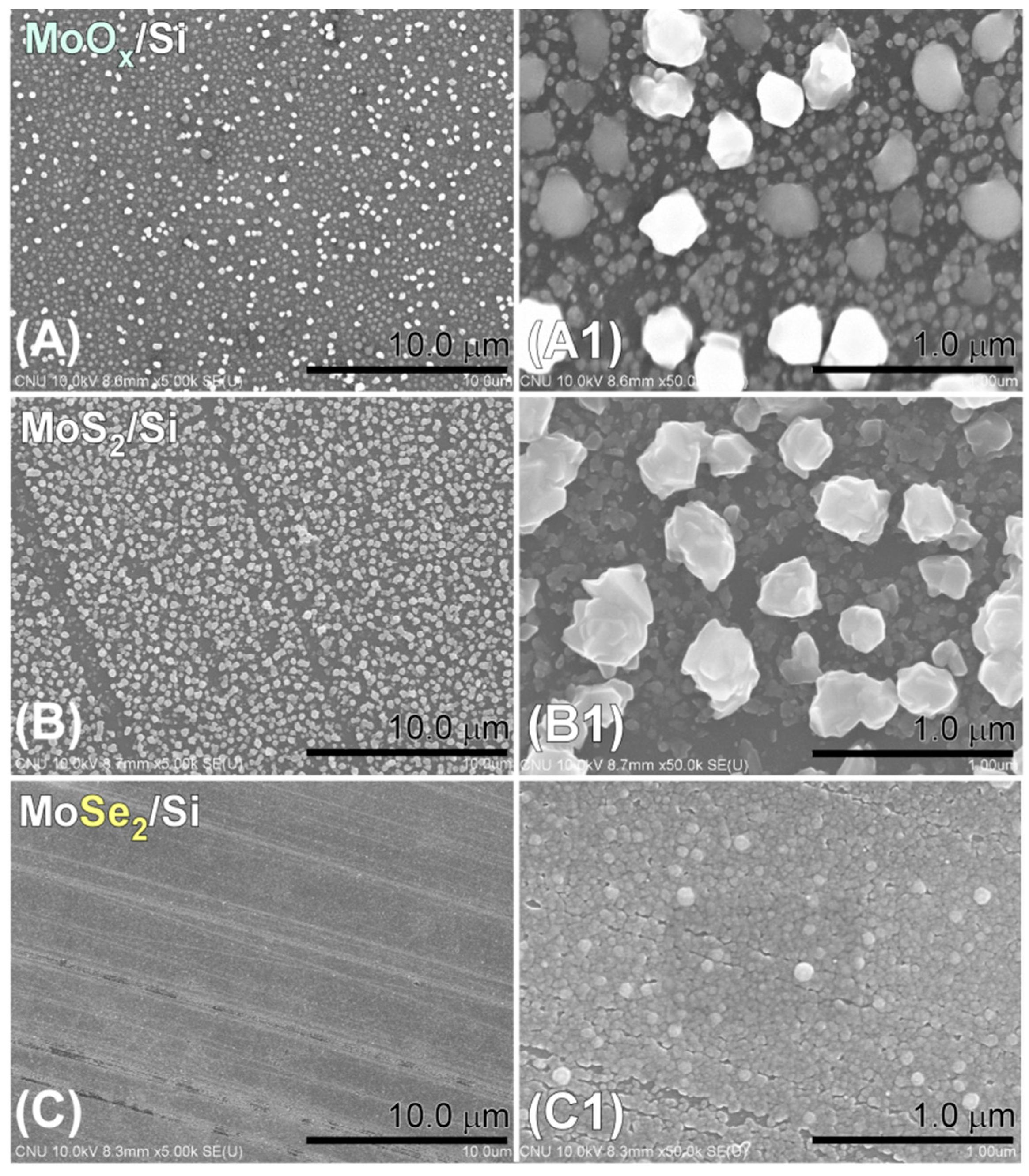 Catalysts 09 00494 g001