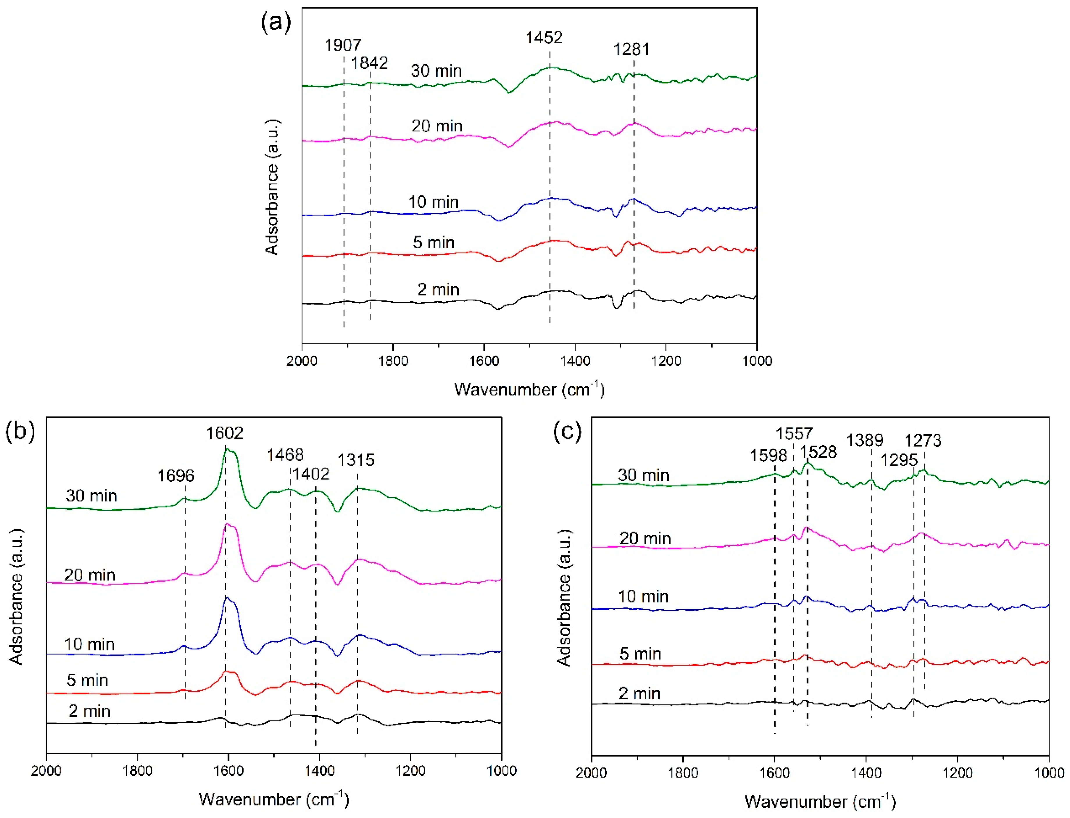Catalysts 09 00496 g007 550